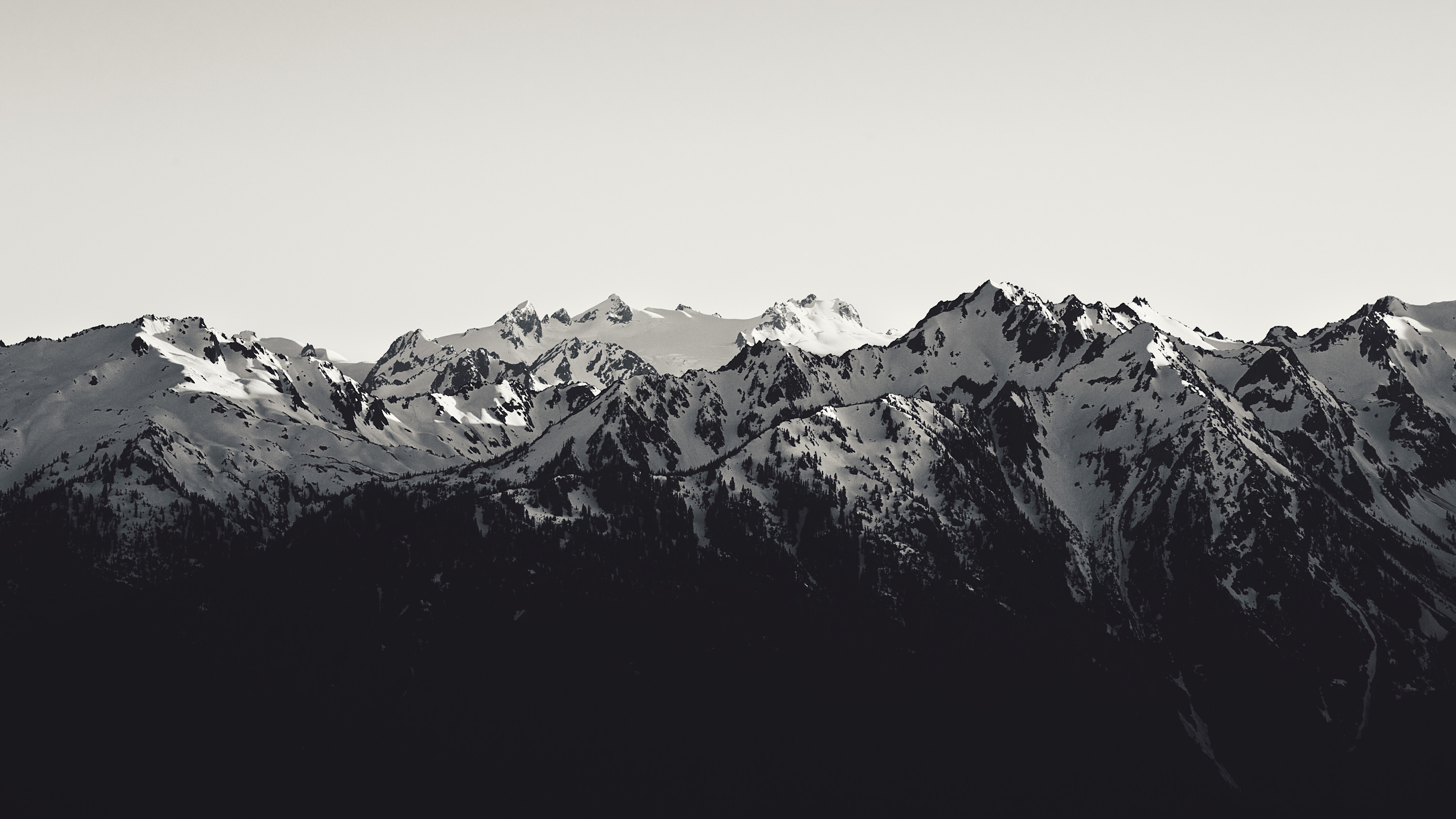 Cameron   cameron williams olympic mountains rkxeet