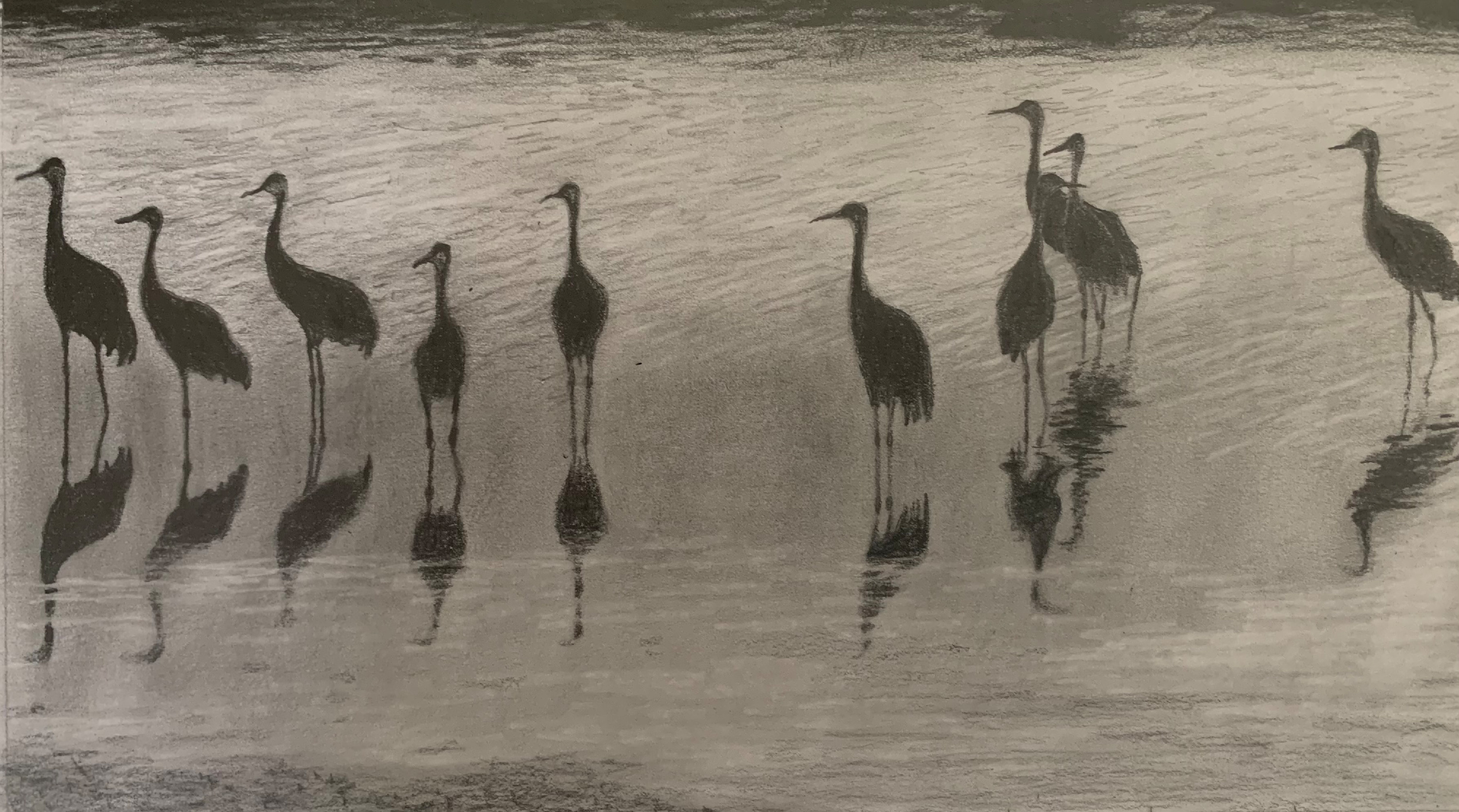 Sandhill cranes reflected sjwmsb
