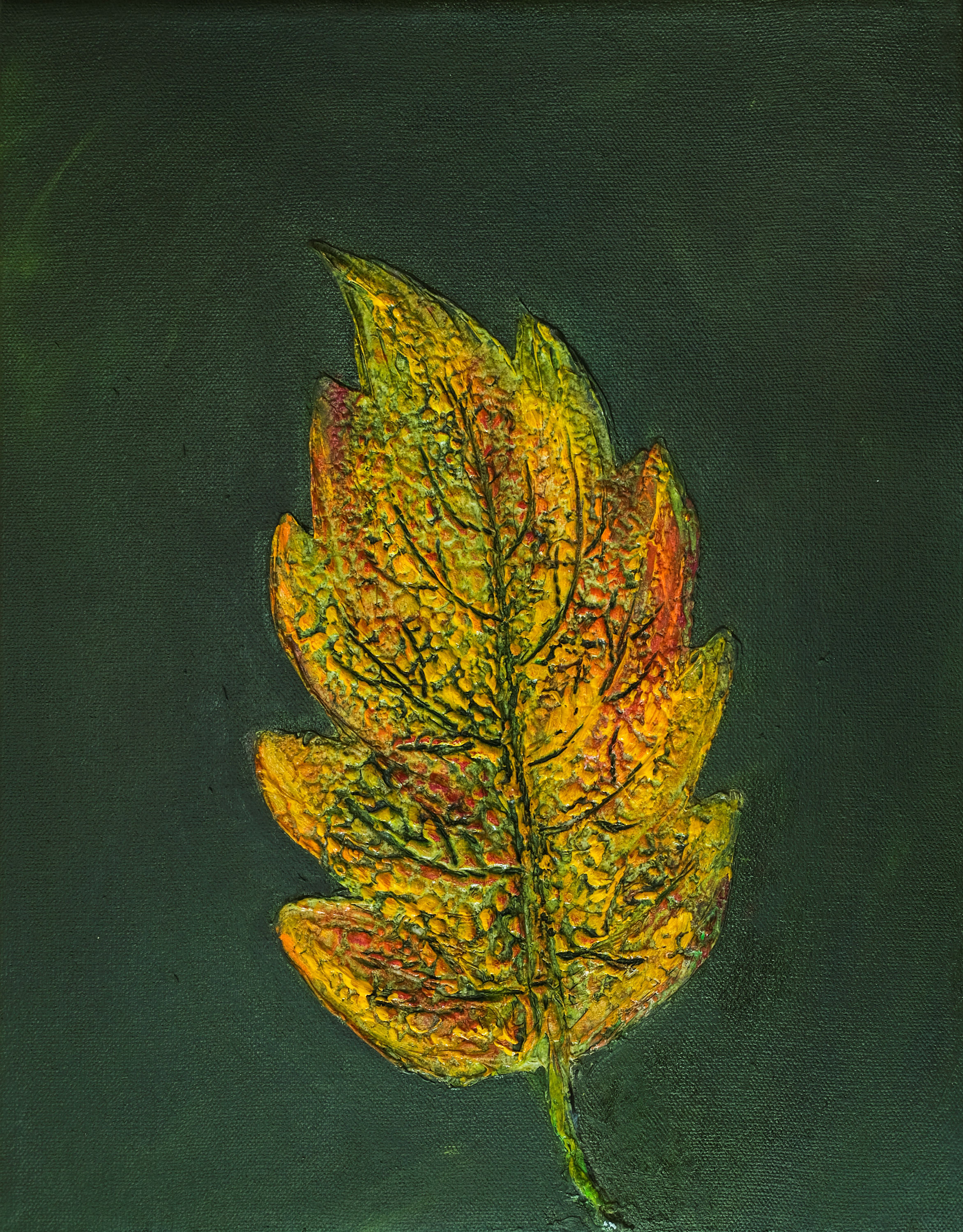 Leaf 11 14x11 x 0.75 acrylic canvas  243 frhdtj