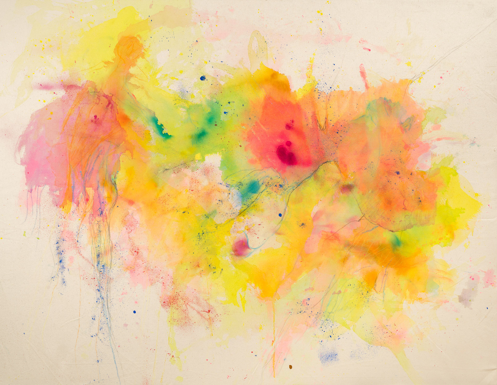 Wildflowers 3 100x130cm acrylic ink pastel aerosol conte crayon on raw canvas poa cenymk