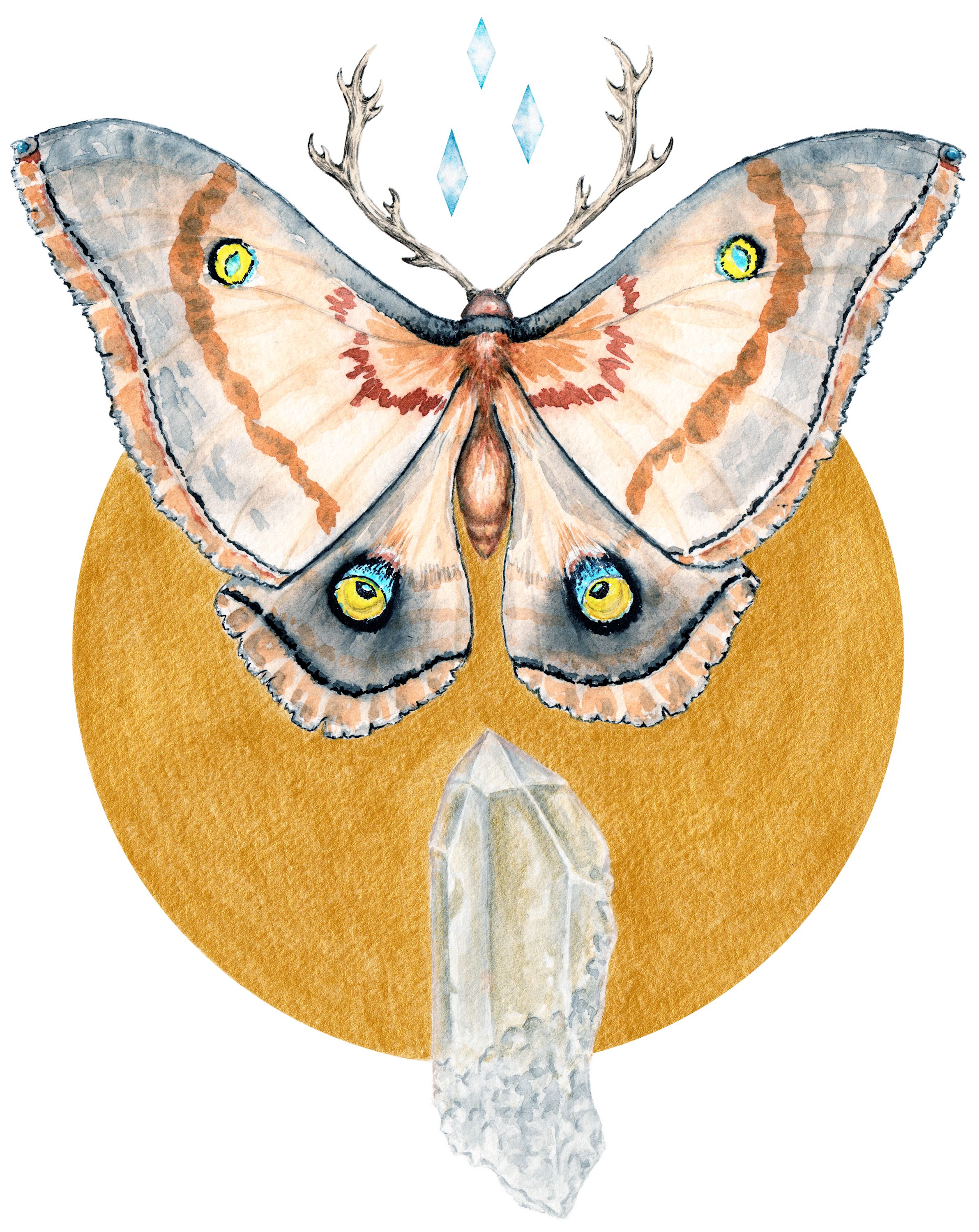 Polyphemus moth color corrected ux0cpp