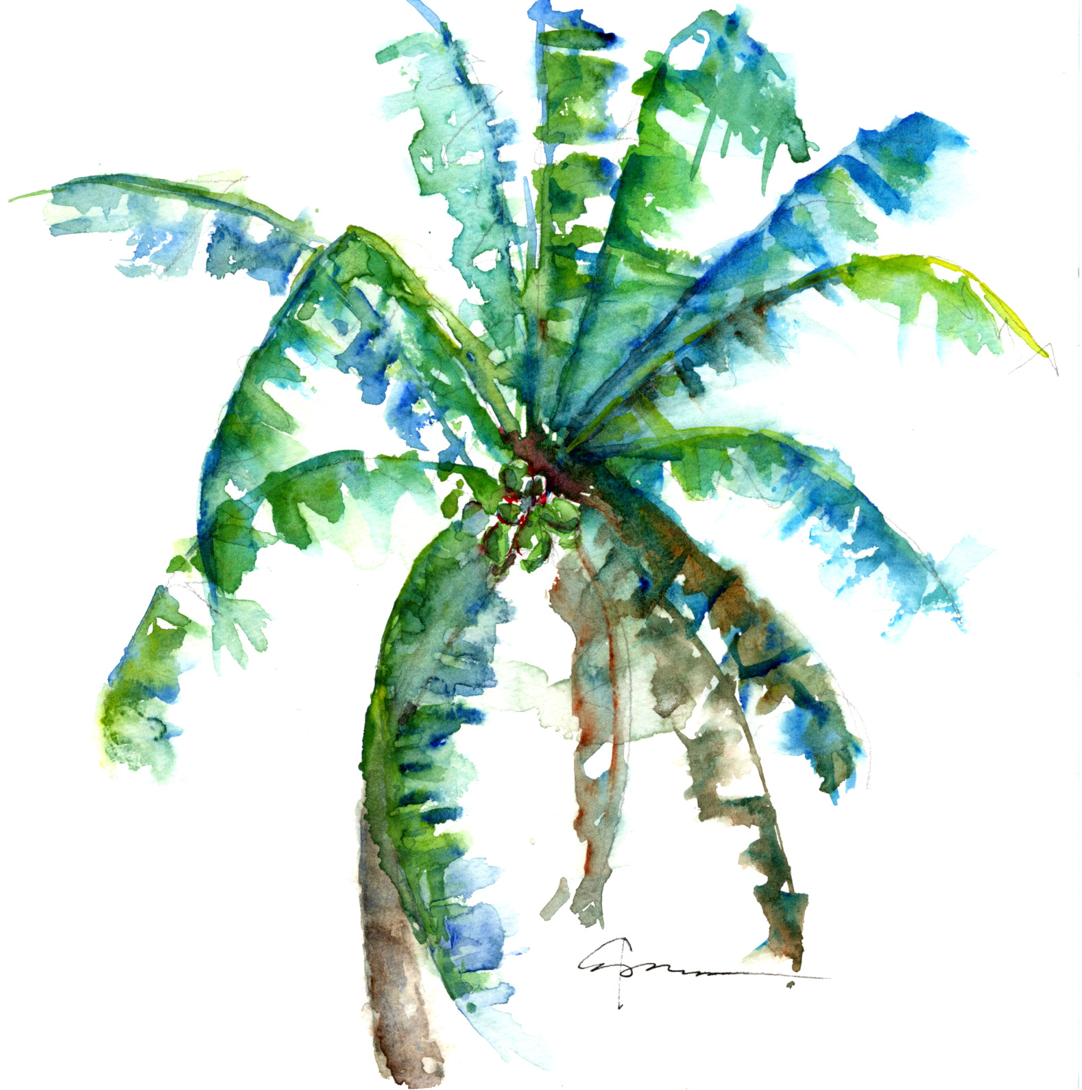 Palm tree 5 ozwtiy