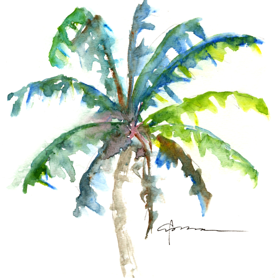 Palm tree 6 jjlezg
