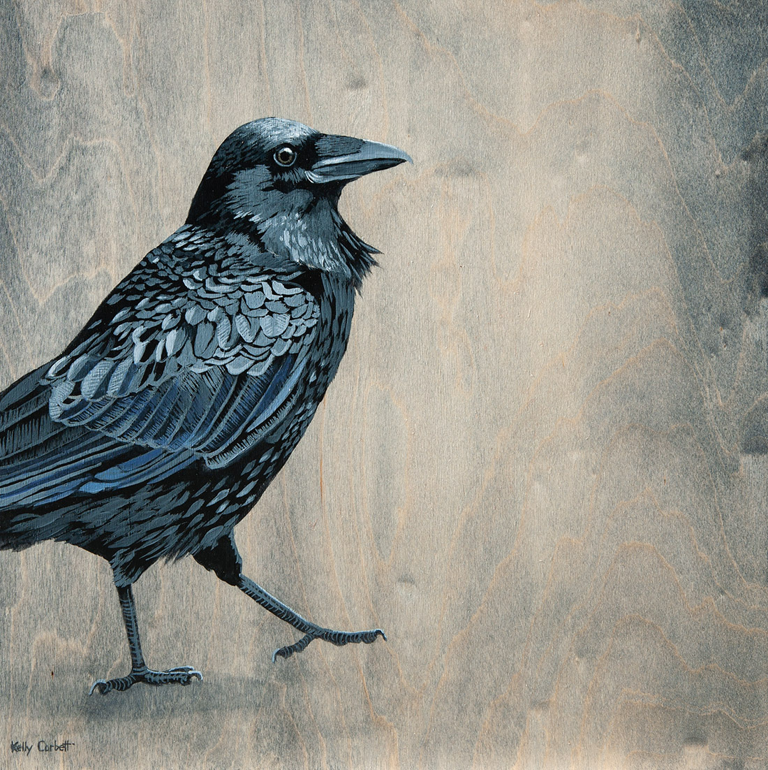 79bird vocpcv