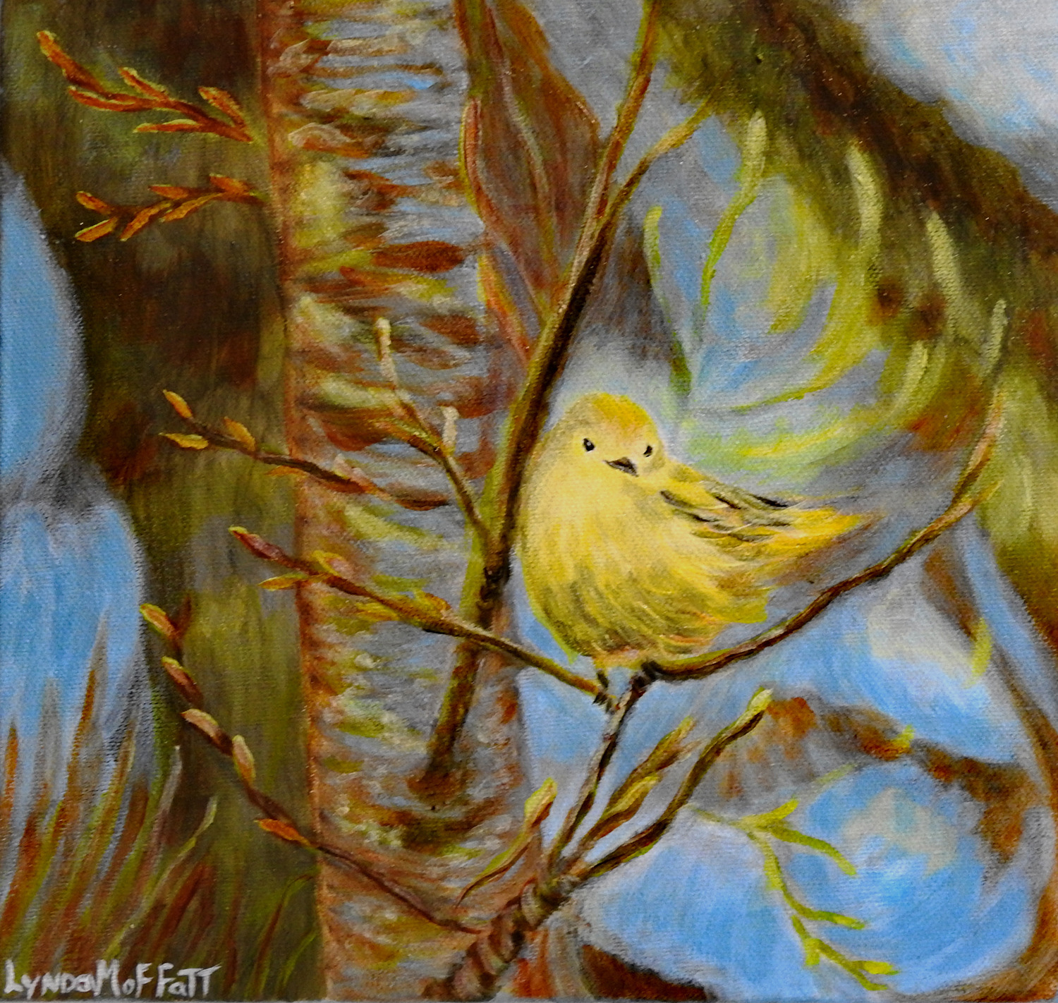 Lynda moffatt yellow warbler  acrylic.jpg lqip48