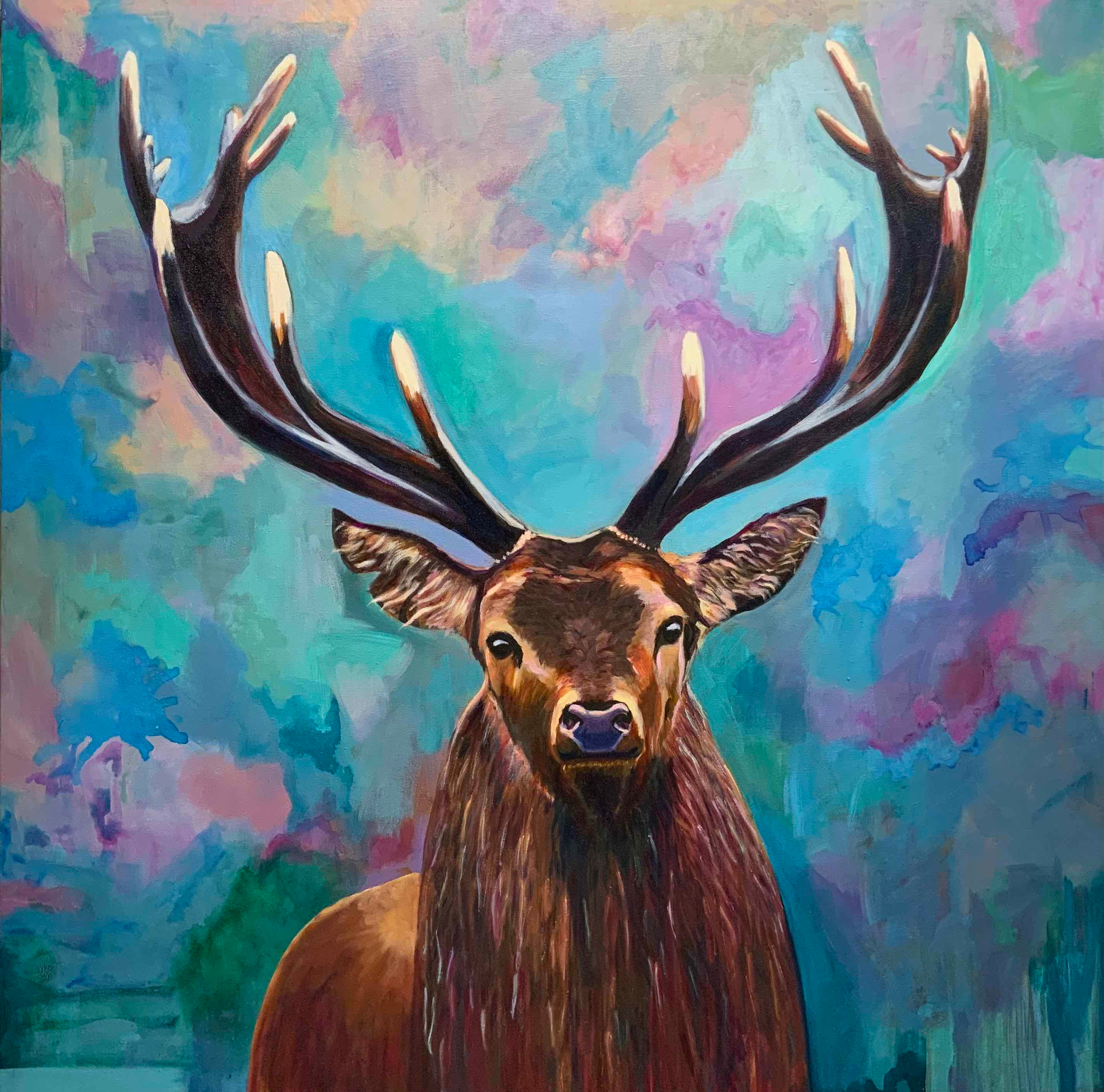 Elk original art wildlife not for printing pp6erc
