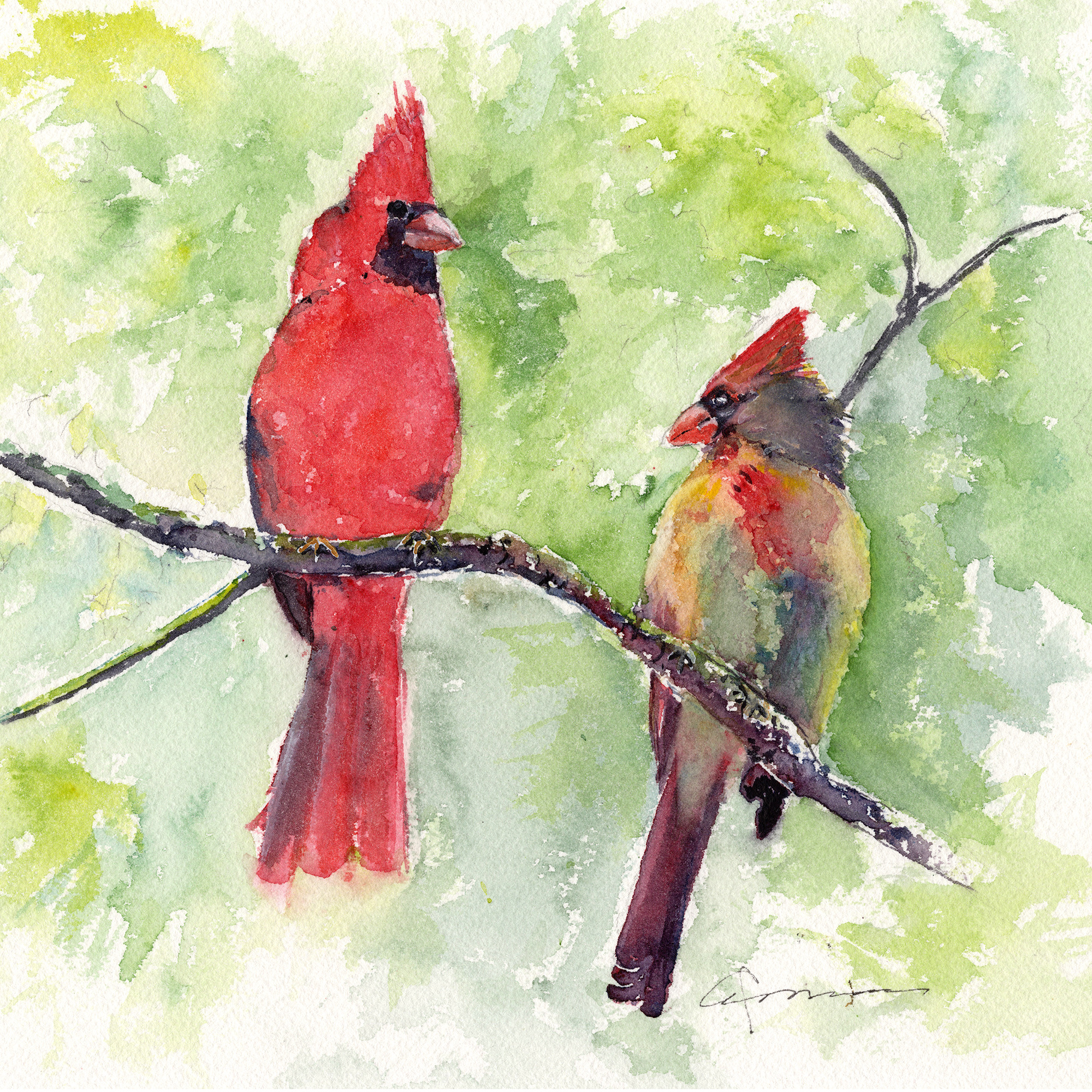 Cardinal pair 2 fgtfrh