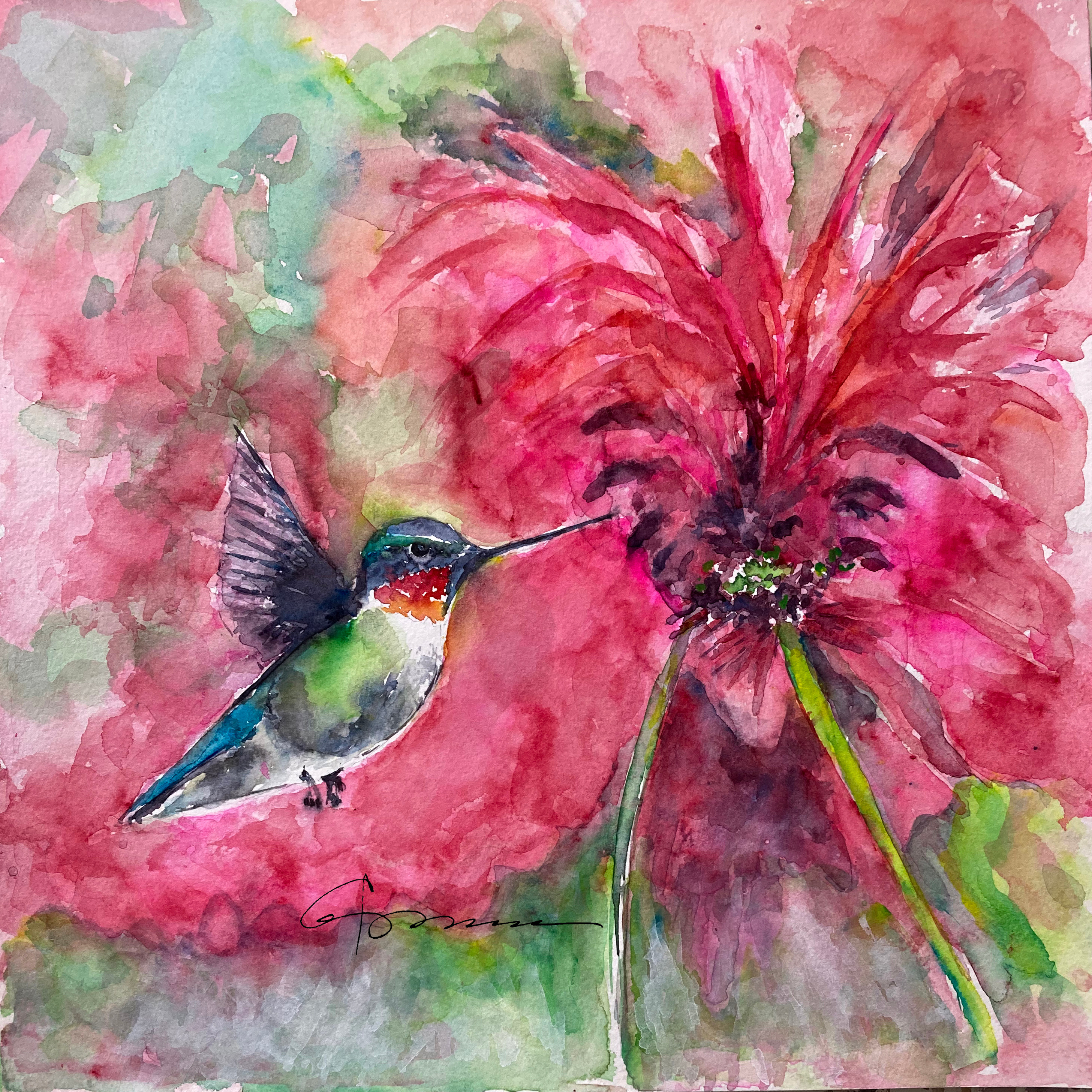 Hummingbird engulfed in red sfal0w