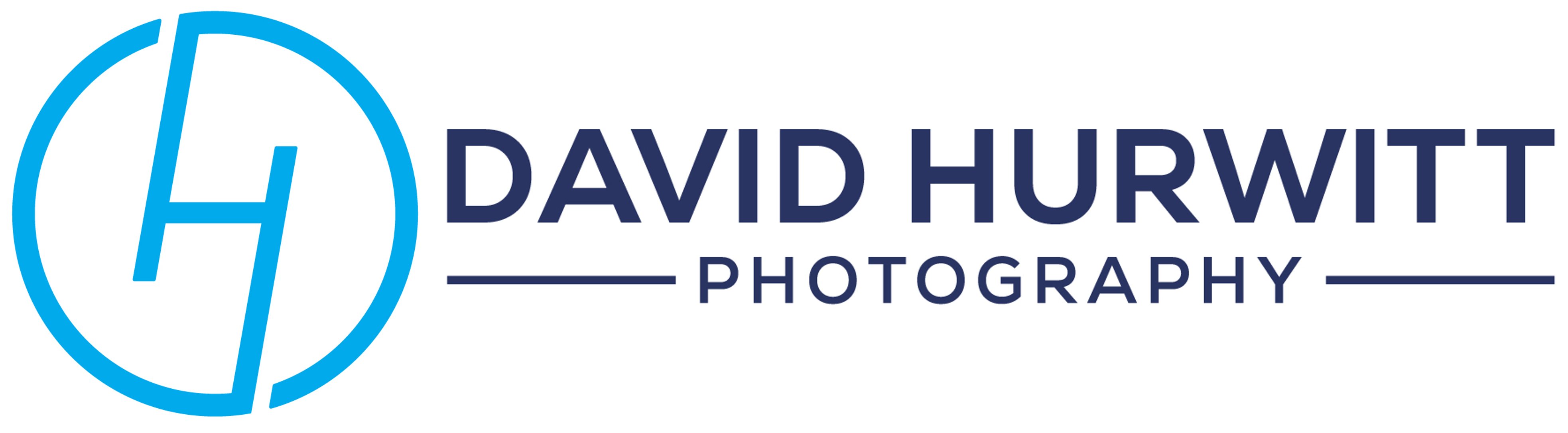 davidhurwitt.com