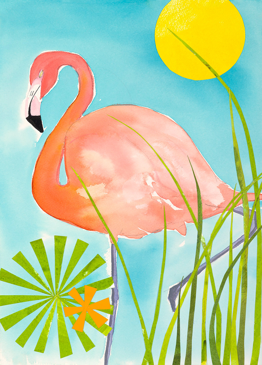 Flamingo in grass hfatdg