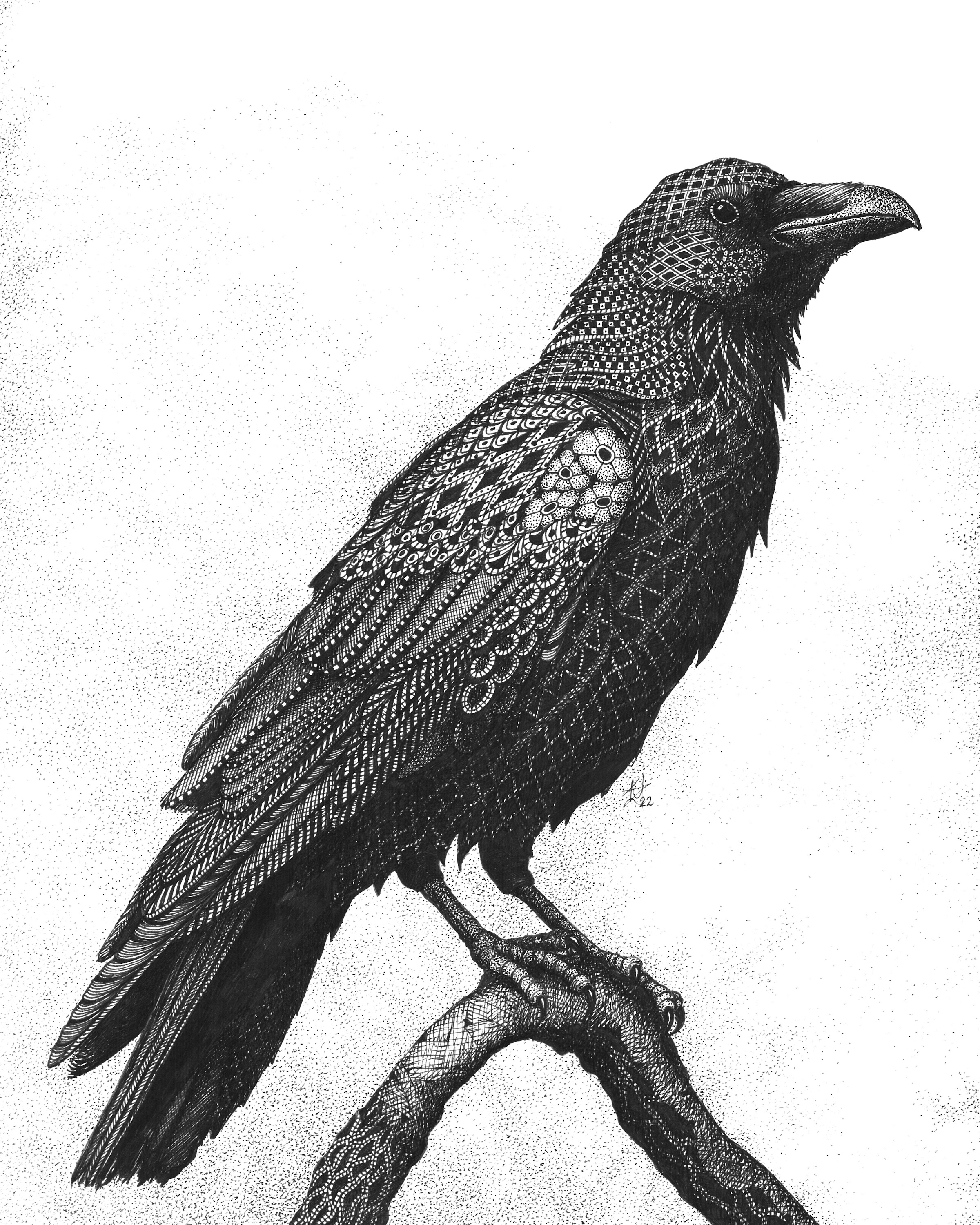 Raven  22evermore 22 woorep