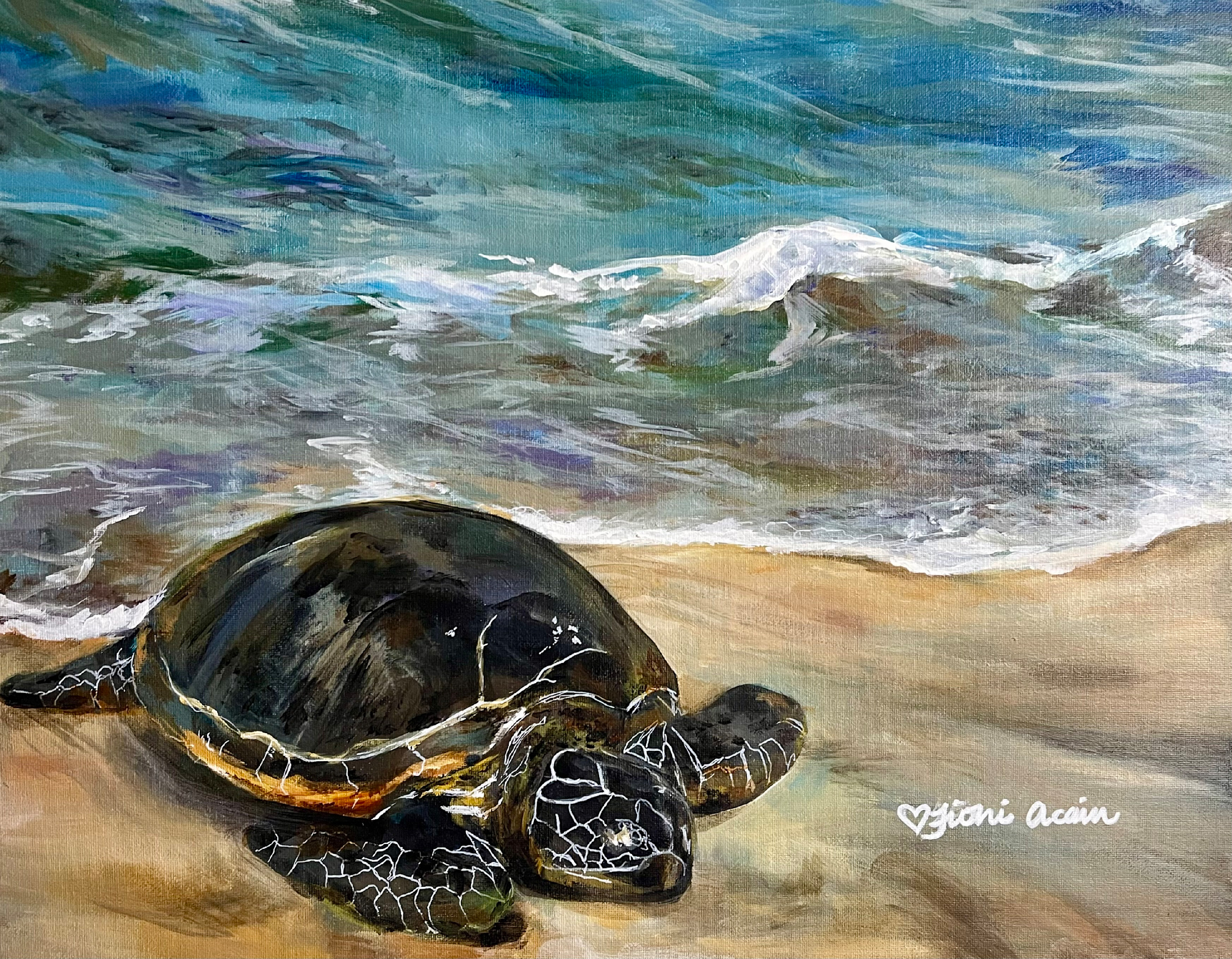 Tioni acain  peace and mana  turtle acrylic on canvas  20 x16   hlewap