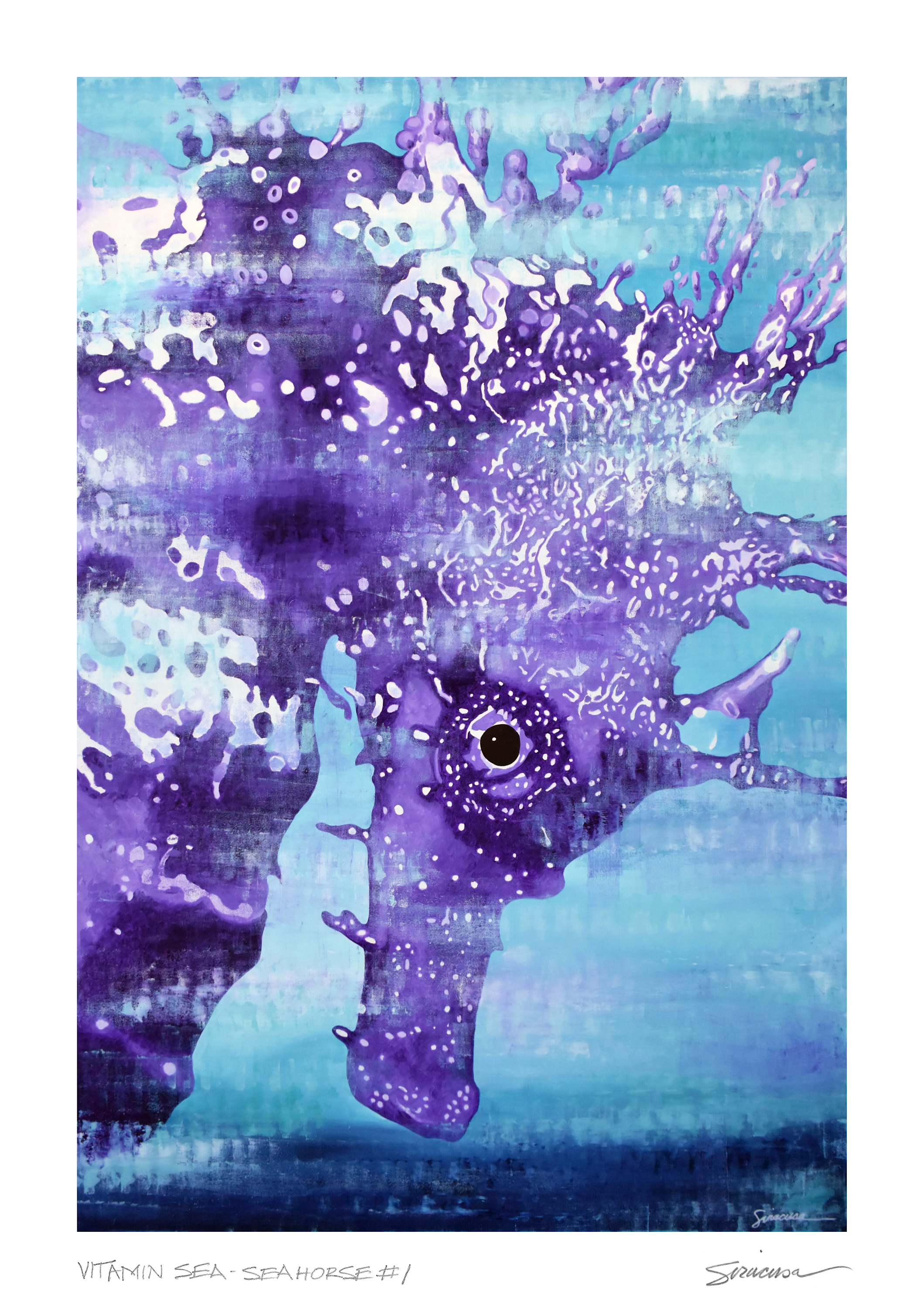 Vitamin sea   seahorse number 1 limited edition print kwu5xz