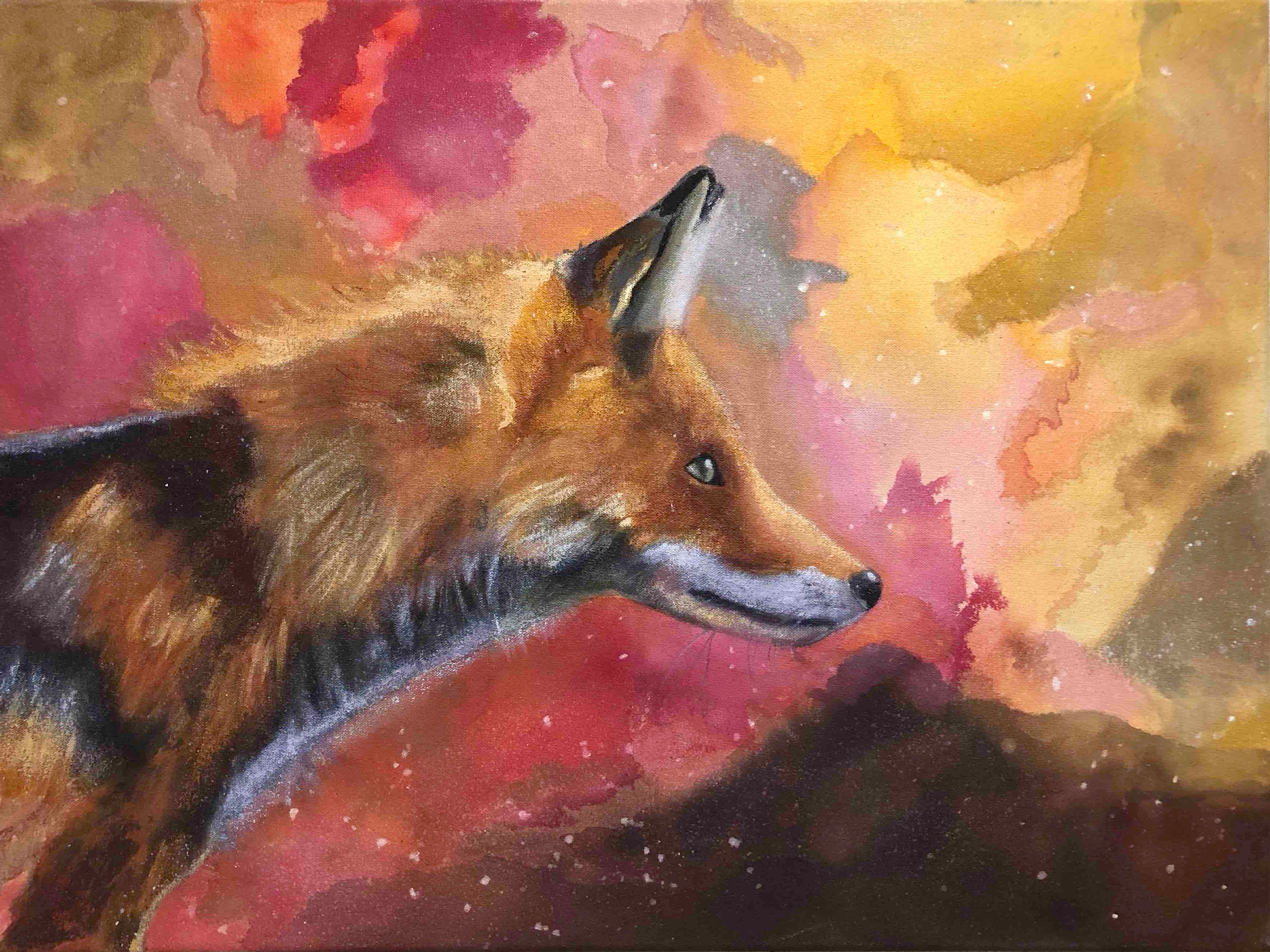 Red fox wild life gabriela ortiz 1 for original painting profile nhtxl8