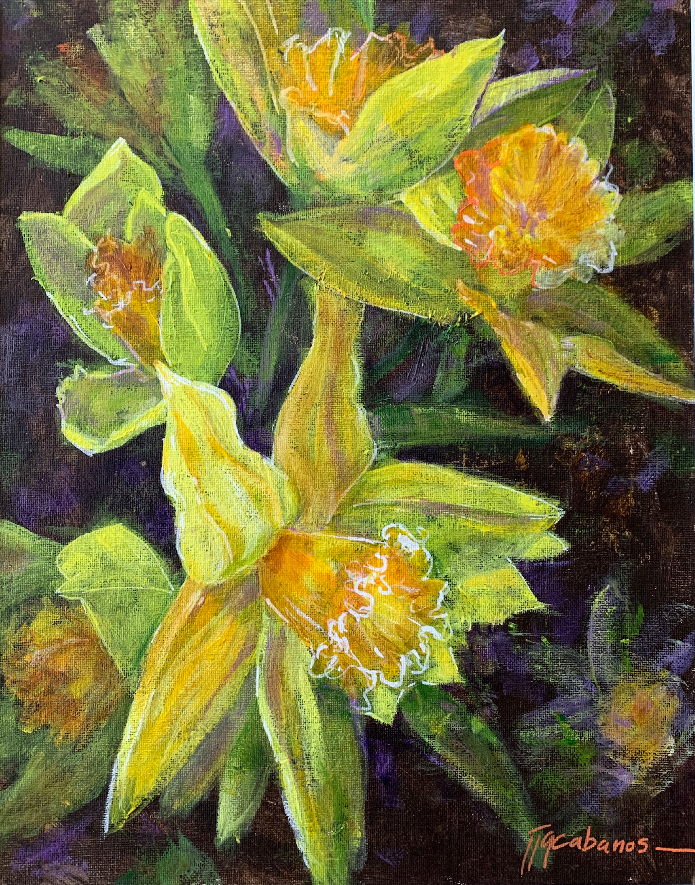 Daffodils as0rez