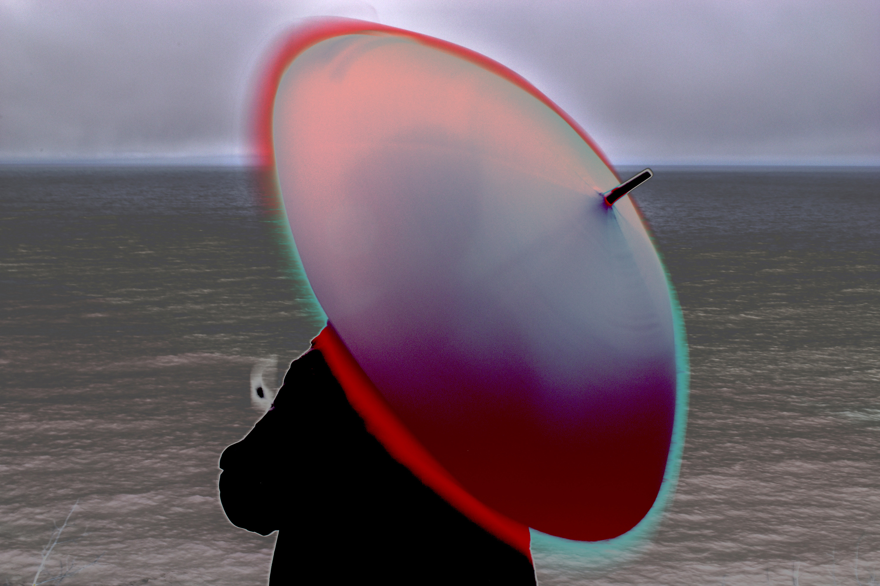 Red umbrella 12a dng 0195 10 in w tvnxz2