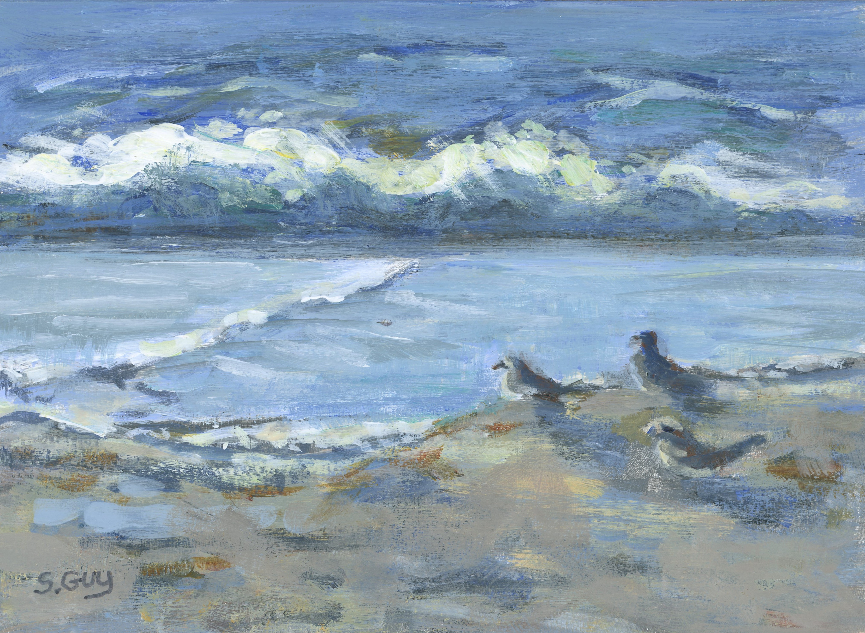 The committee impressionism seascape seagulls coastal painting sdujsd