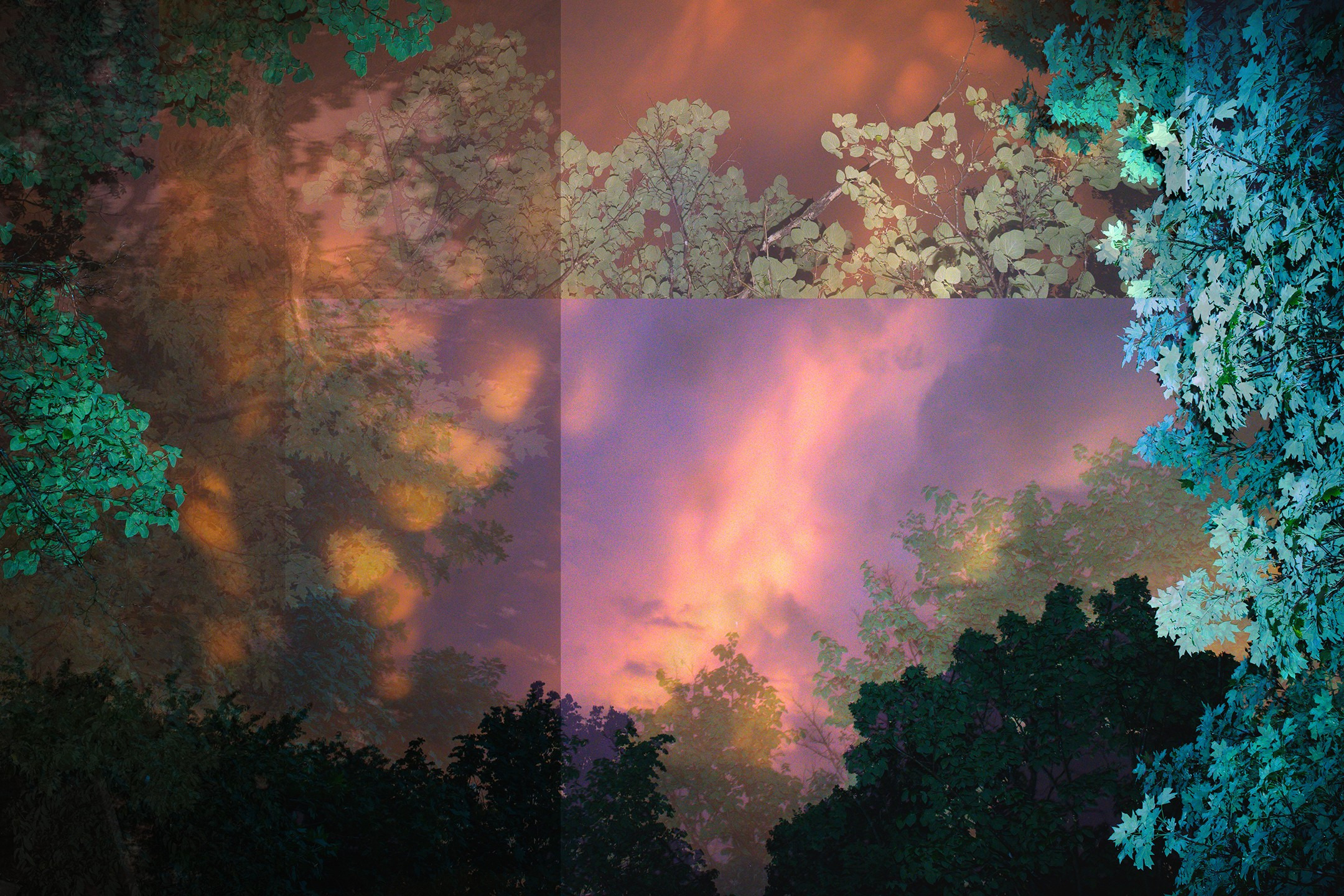 Gucci sky l0i64y
