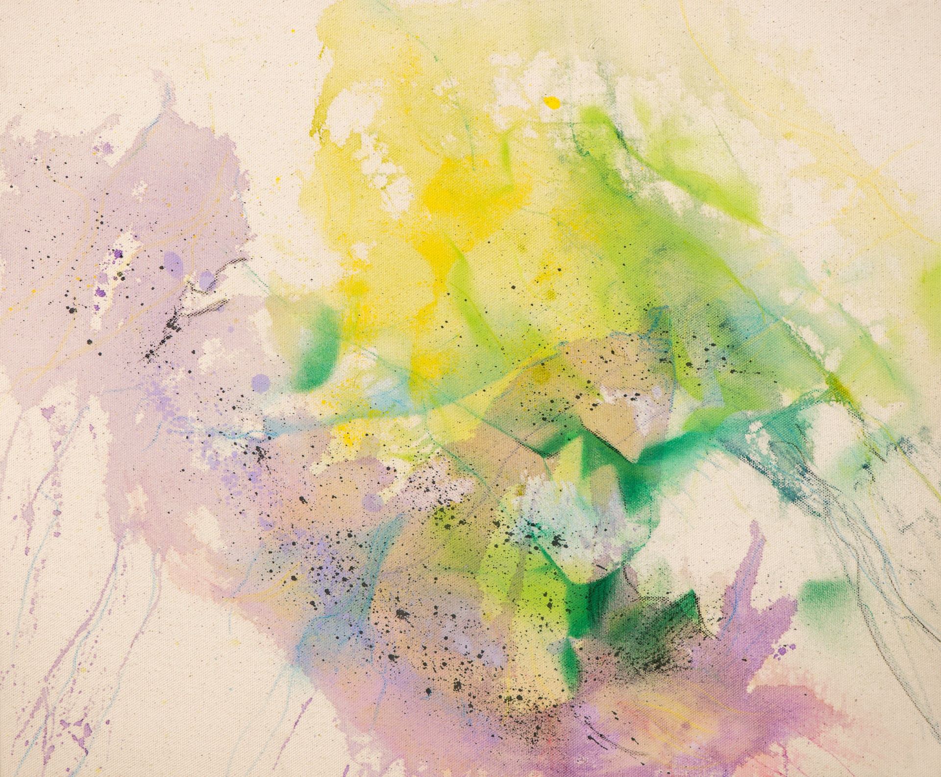 Wildflowers 5 acrylic acrylic spray paint conte crayon on raw canvas 50x60x5 jzcq0d