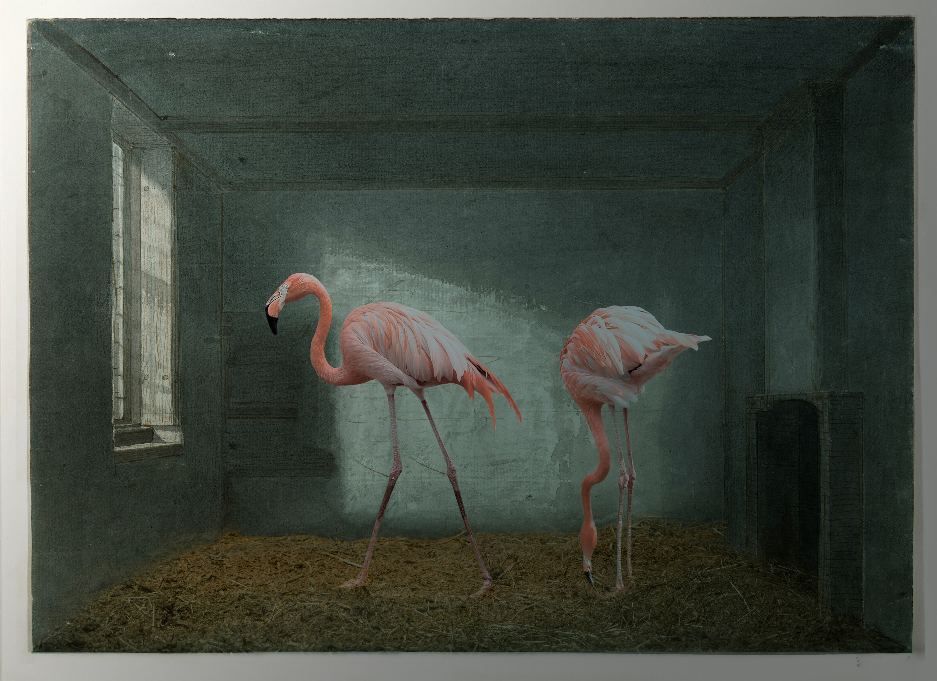 Ann george flamingeaux hilton yme9tz