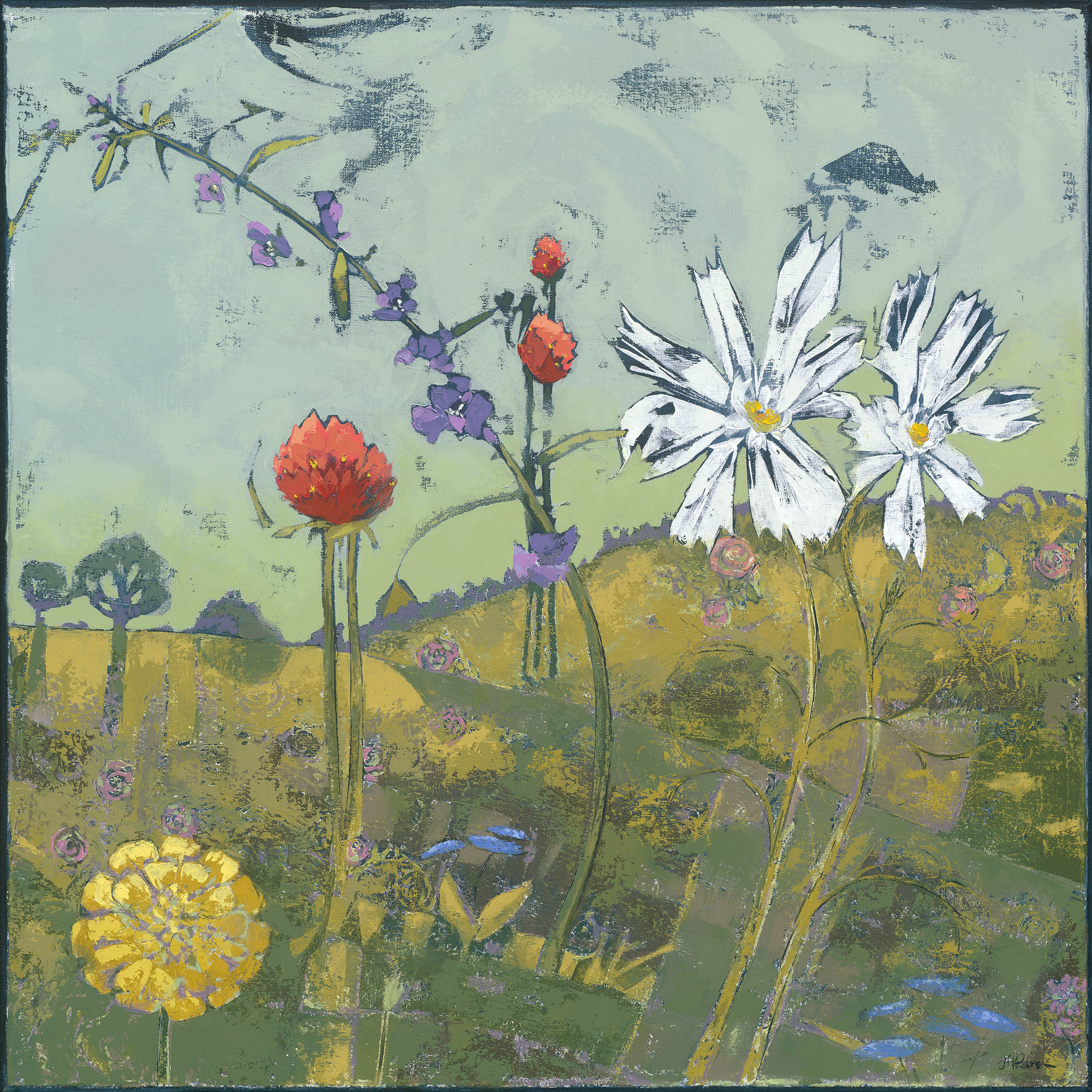 Wild flowers 1  1500 rpjaxl