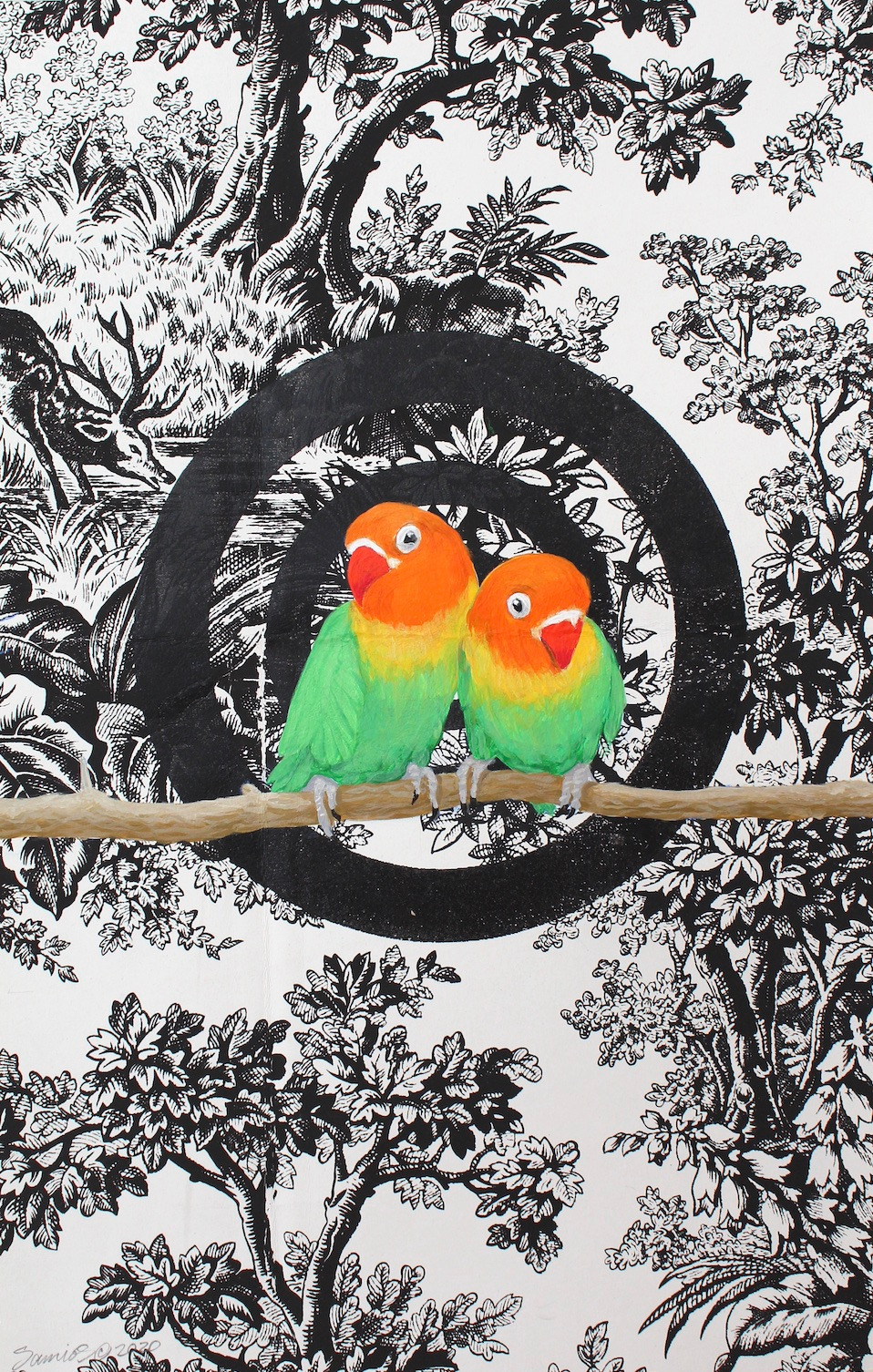 Parrot pair b w im0f90