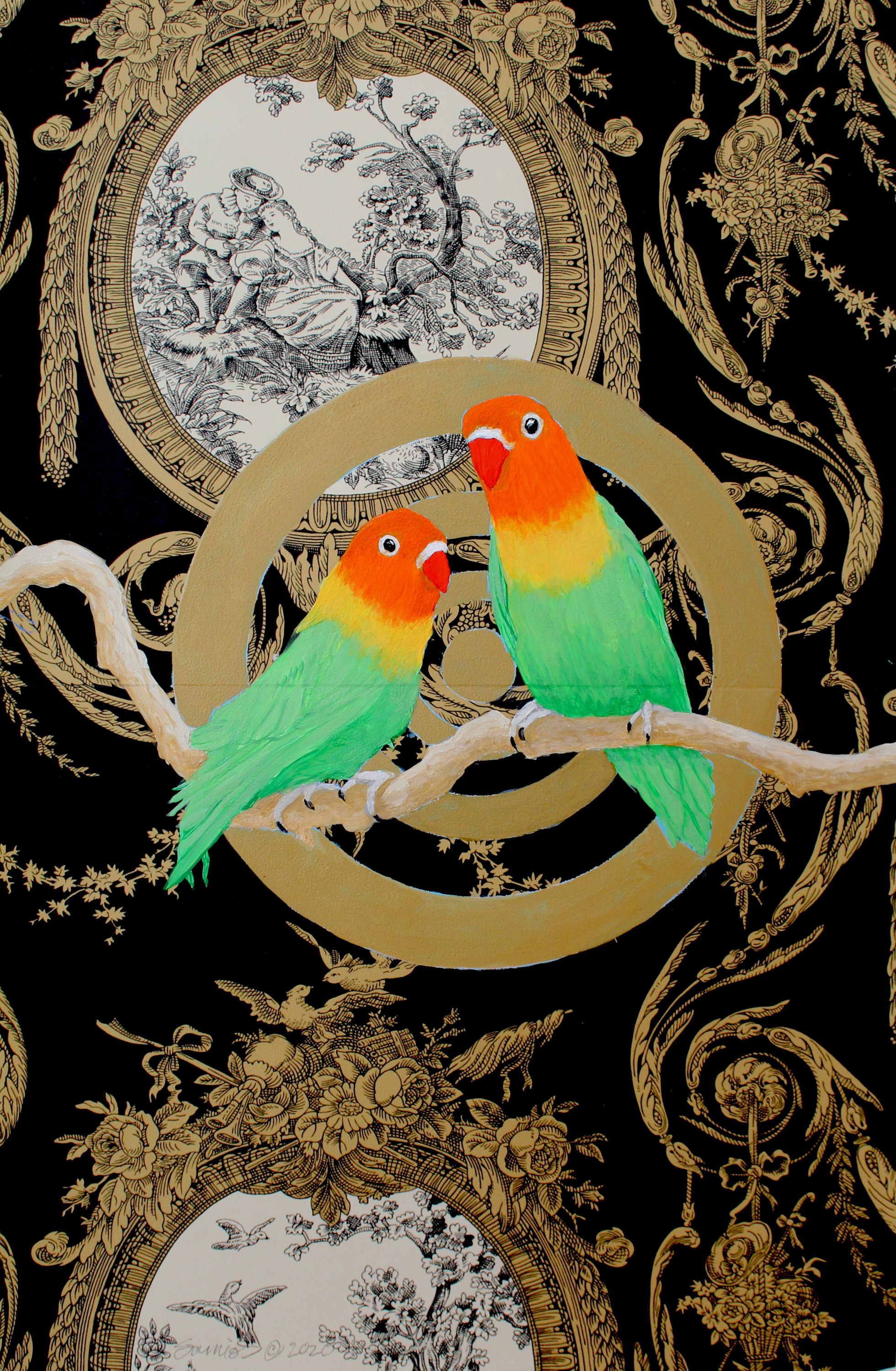 Parrots on black copy o0pisz