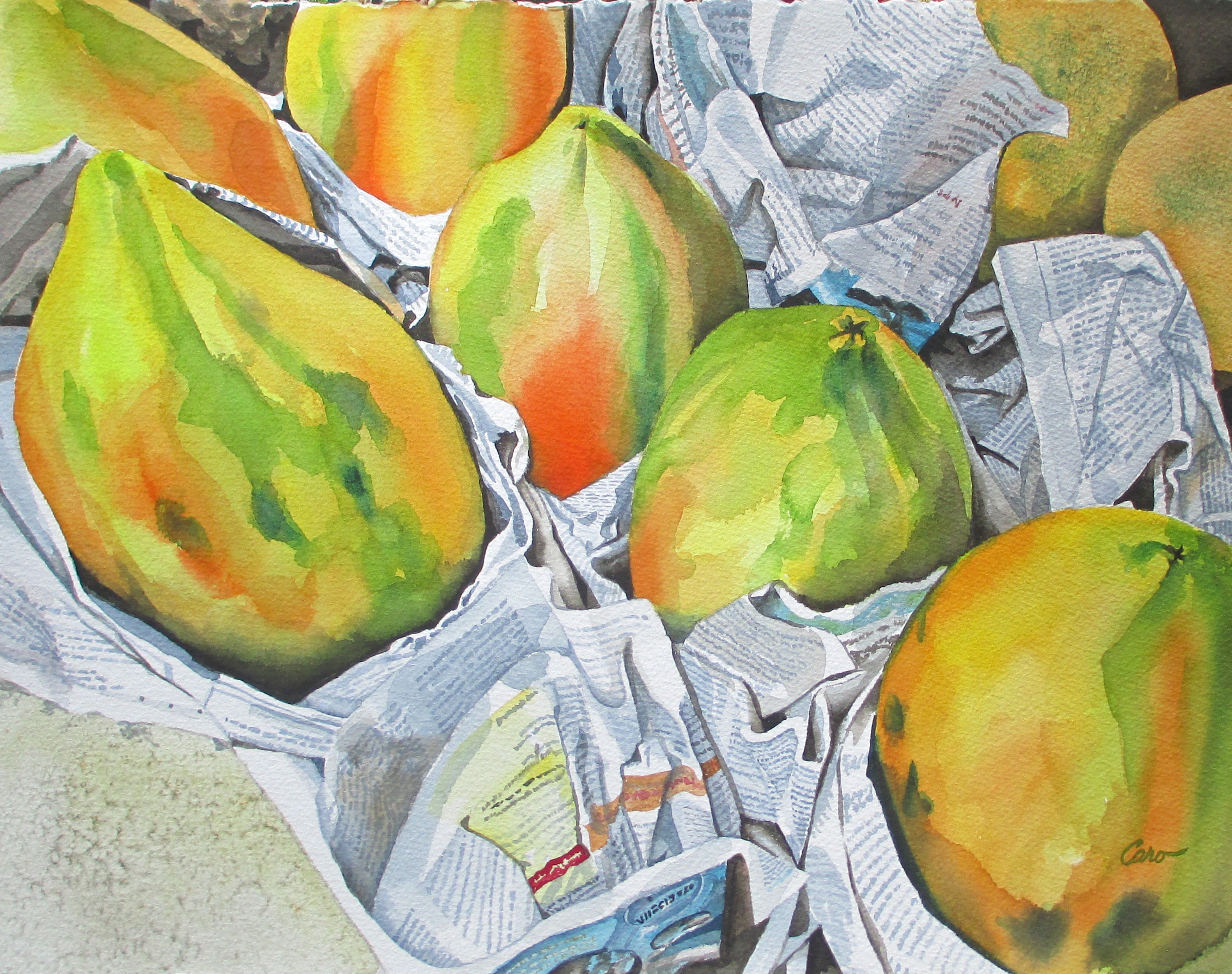 Melons versus papayas xvyrbp