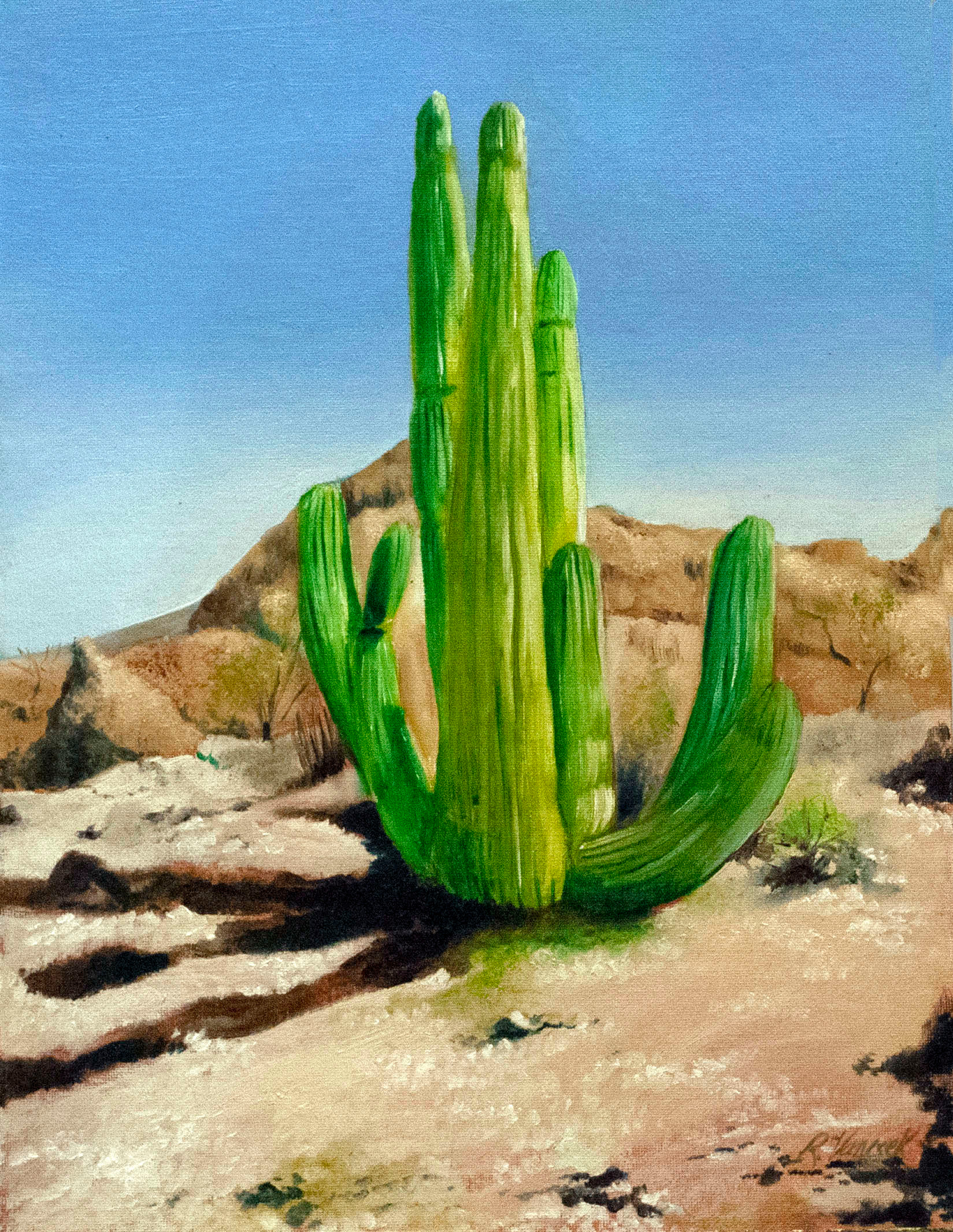Cactus tqa9tt