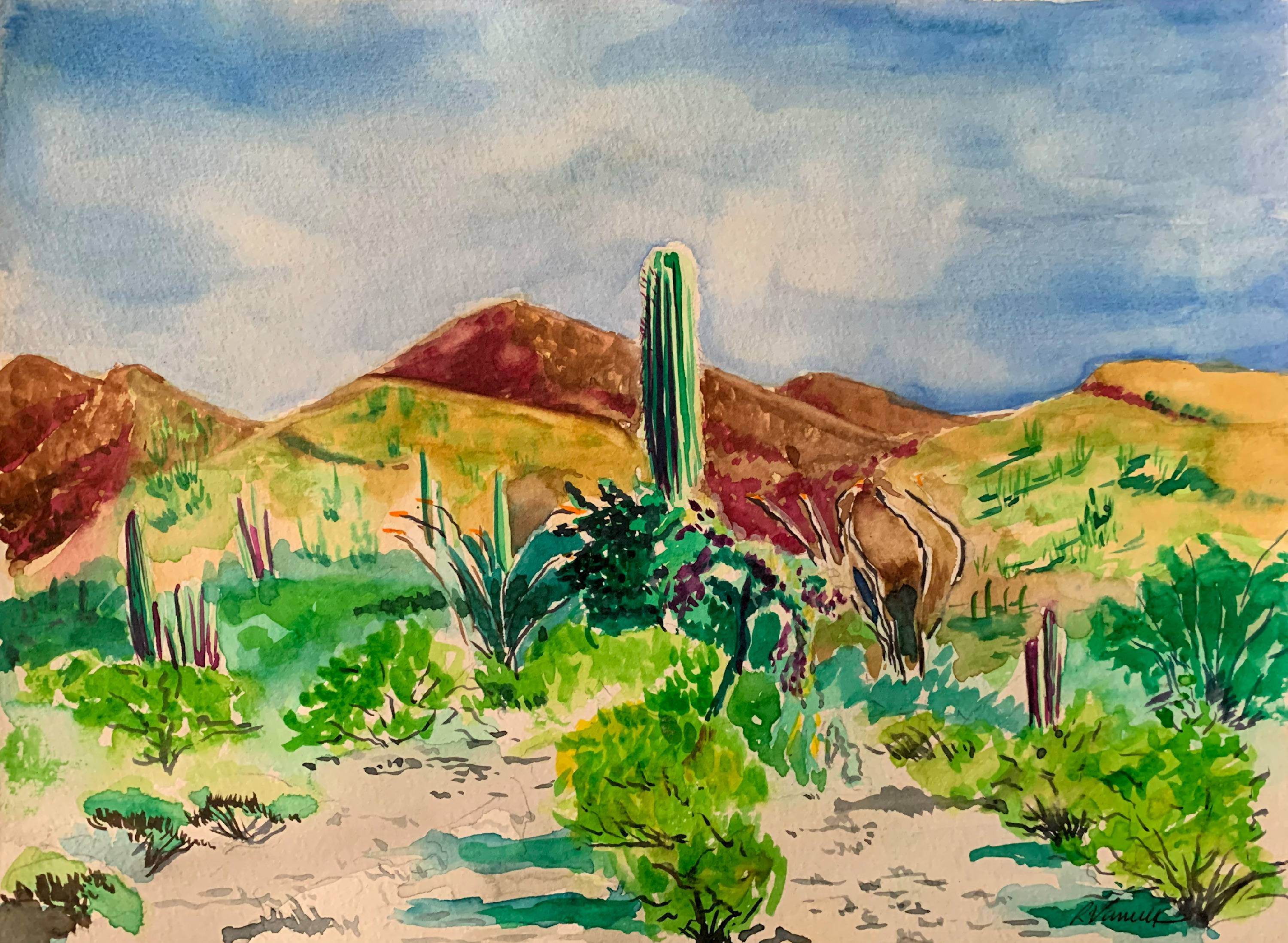 Arizona.landscape ypaxrg