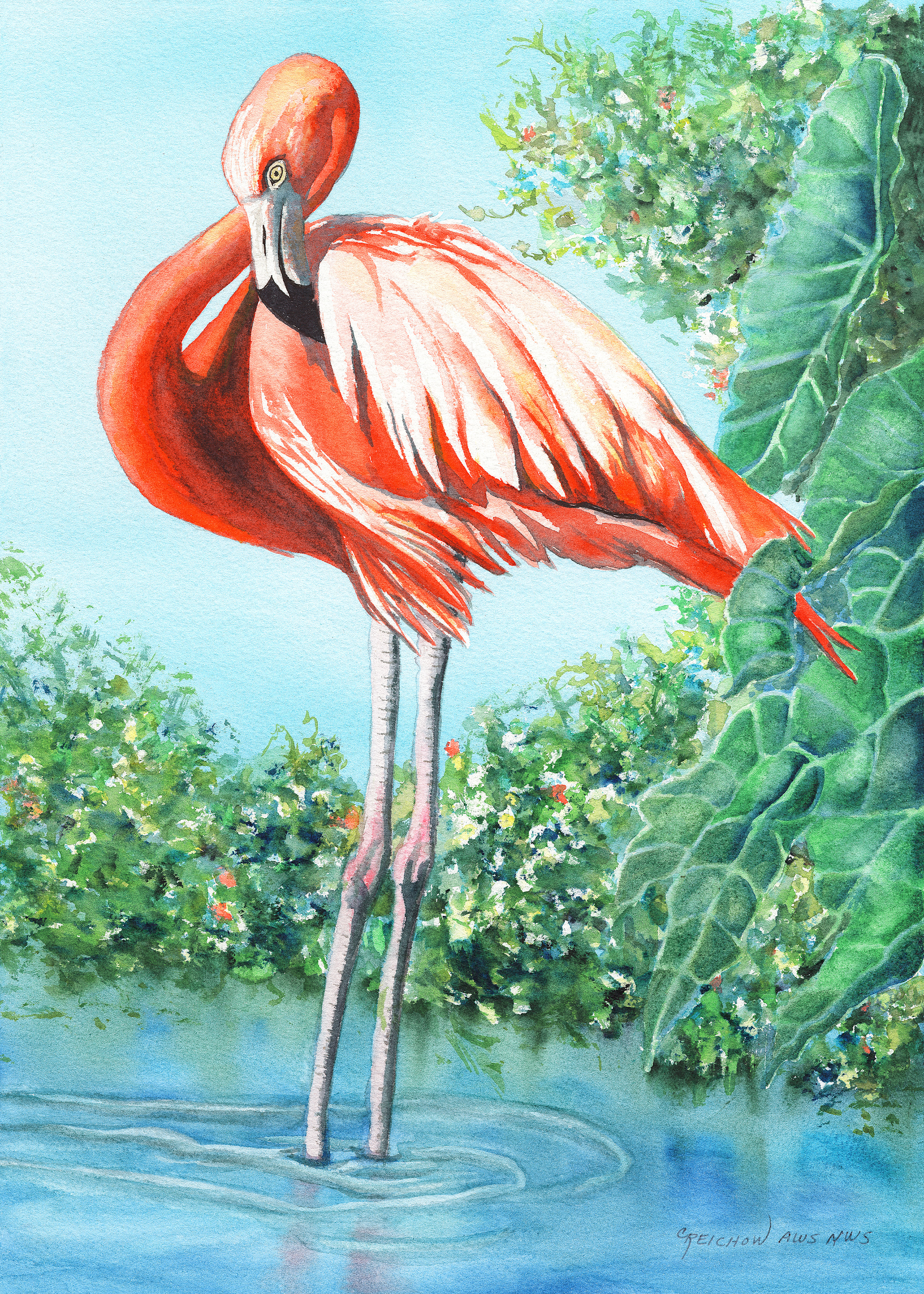 Flirty flamingo g2rg70