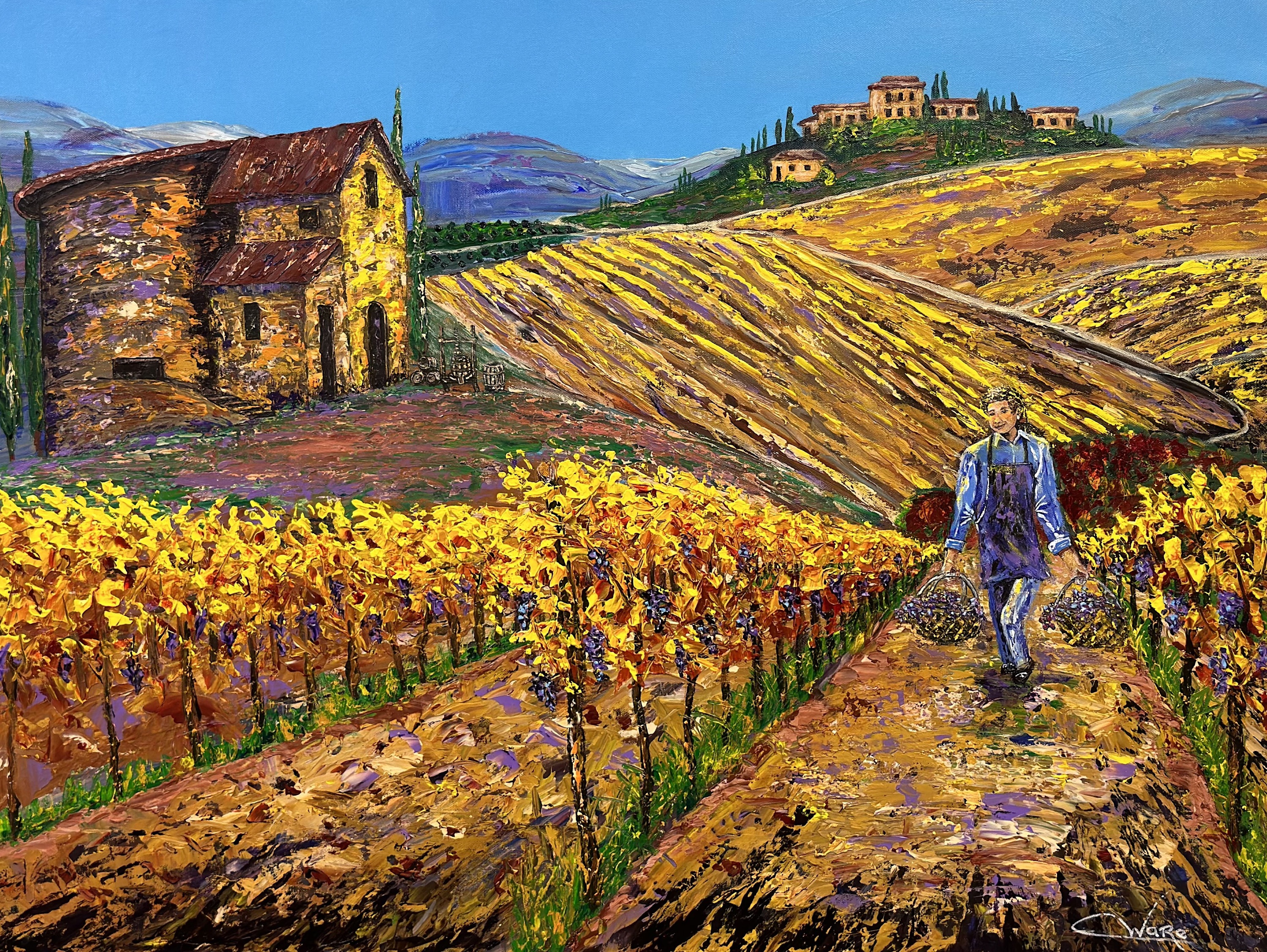Vintage tuscan vineyard rcdflh