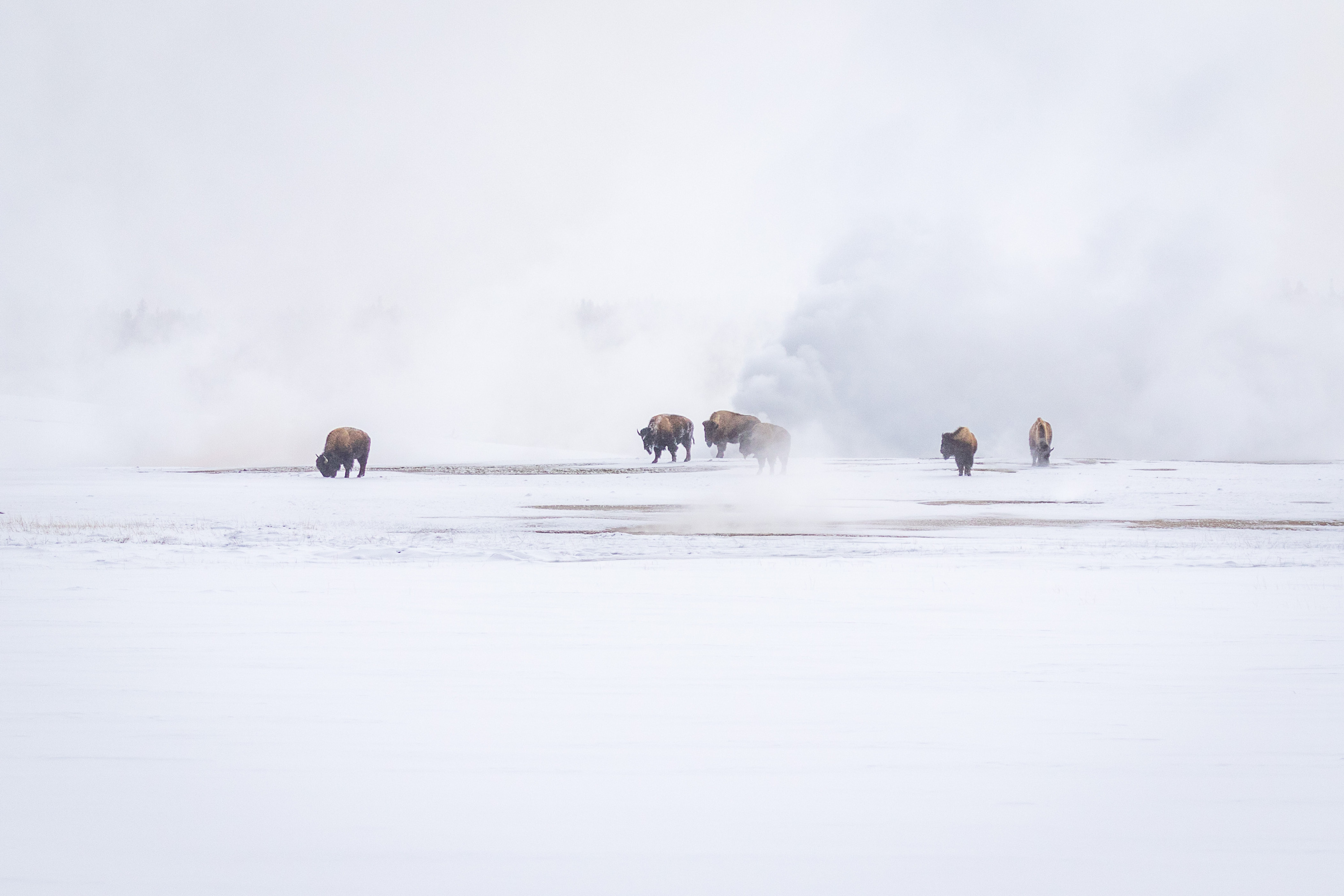 
        <div class='title'>
          S00A4846
        </div>
       