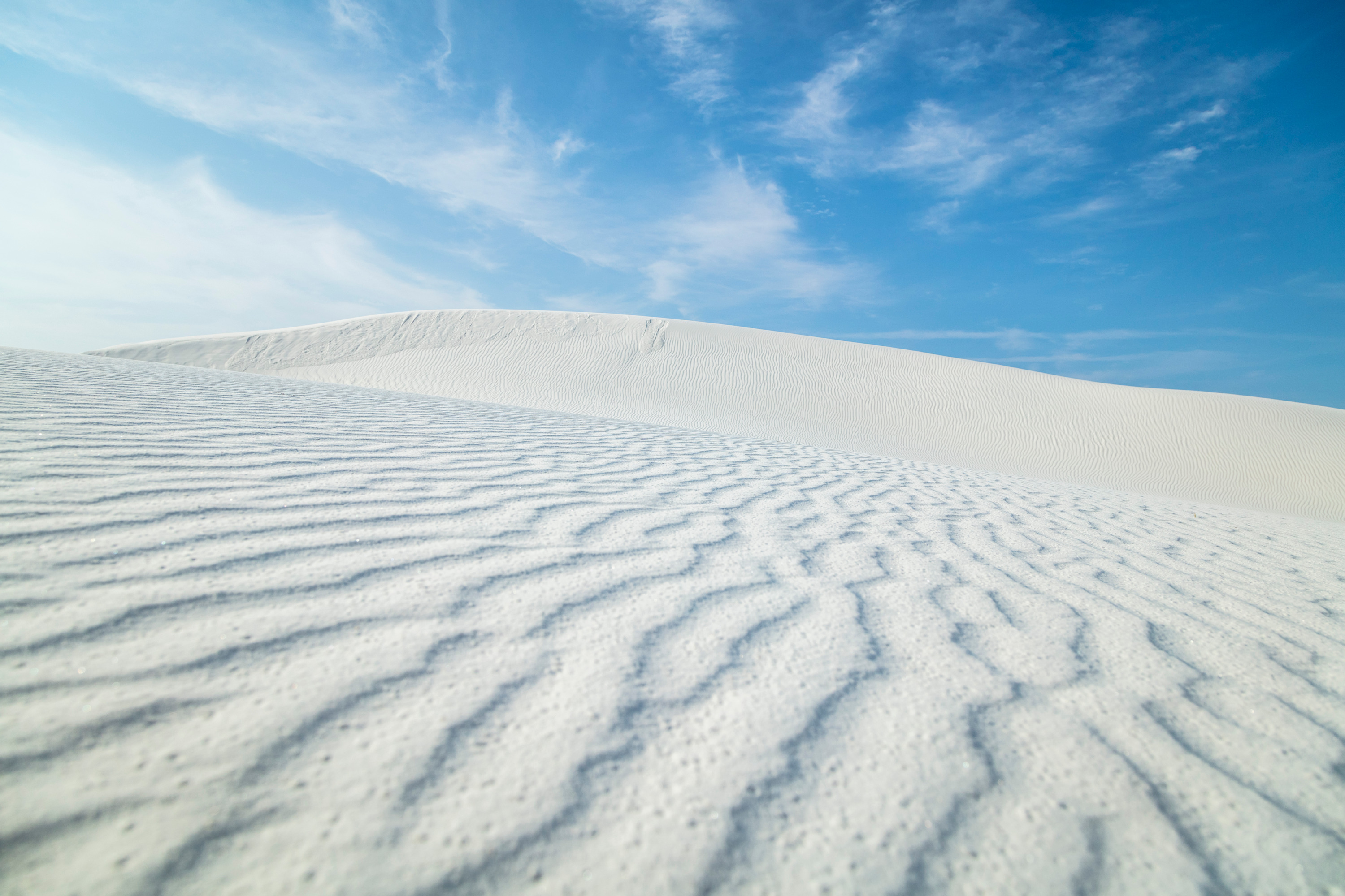 
        <div class='title'>
          0Y4A9382
        </div>
       