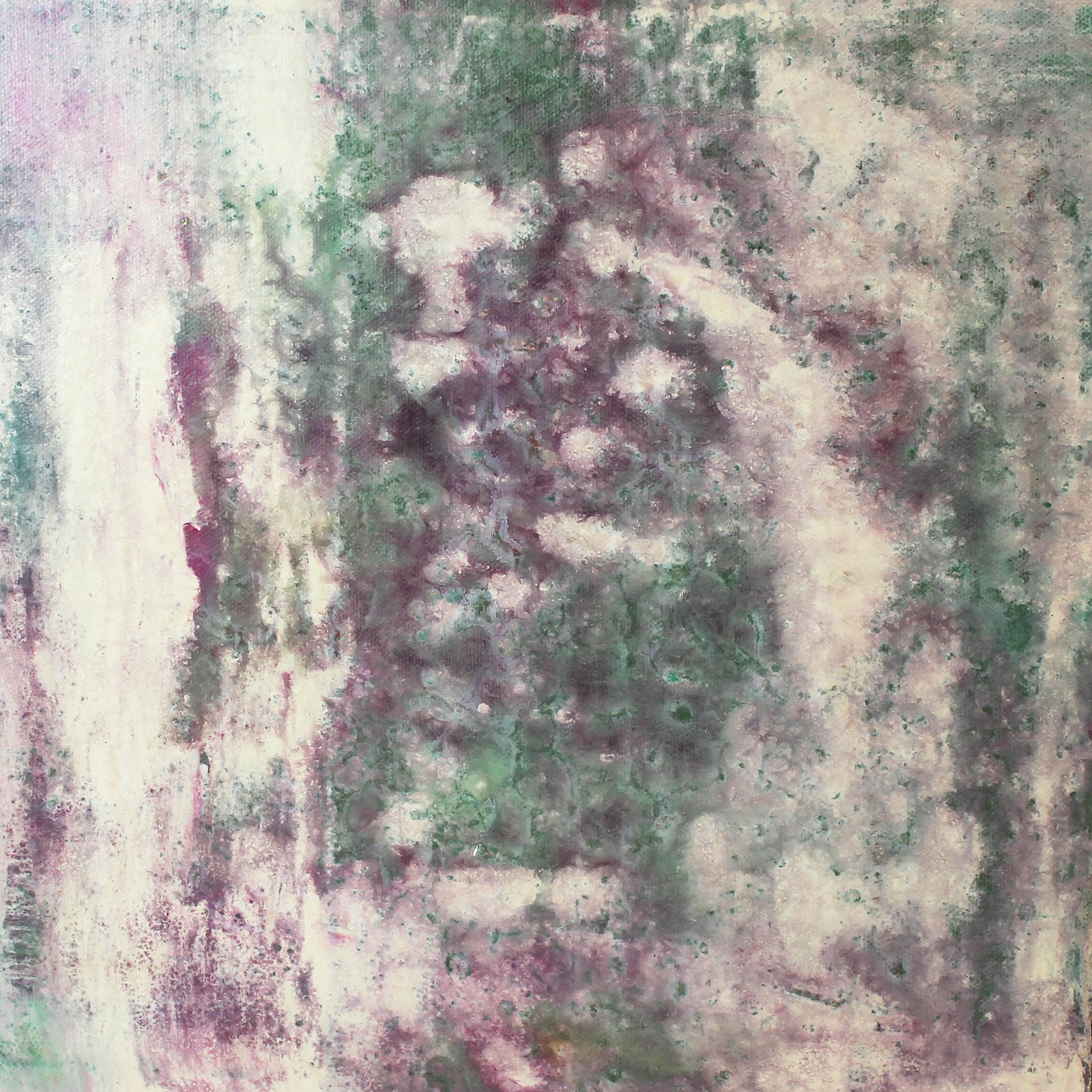 2009 muted berry dzivyq