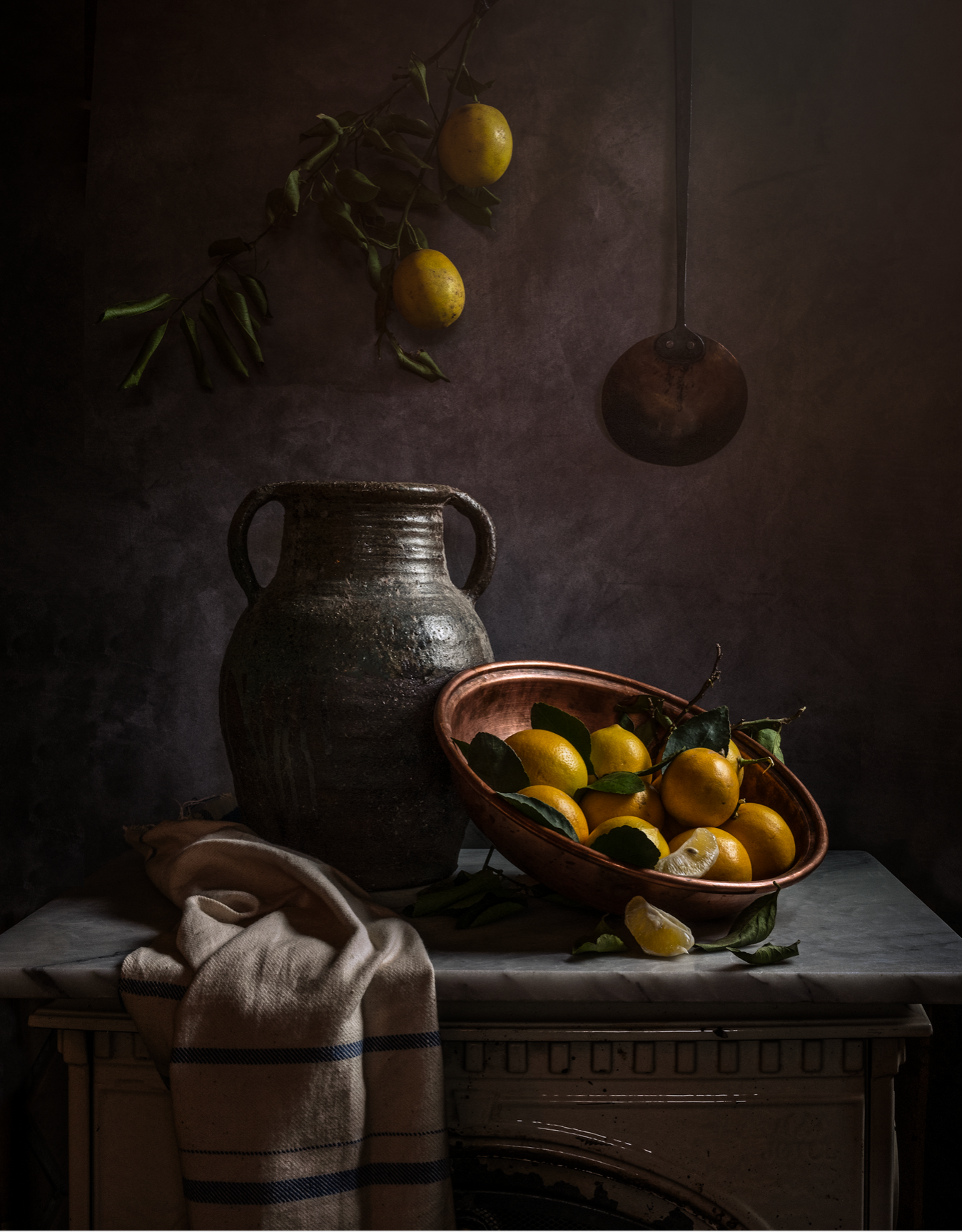 Winter lemons hllp2x