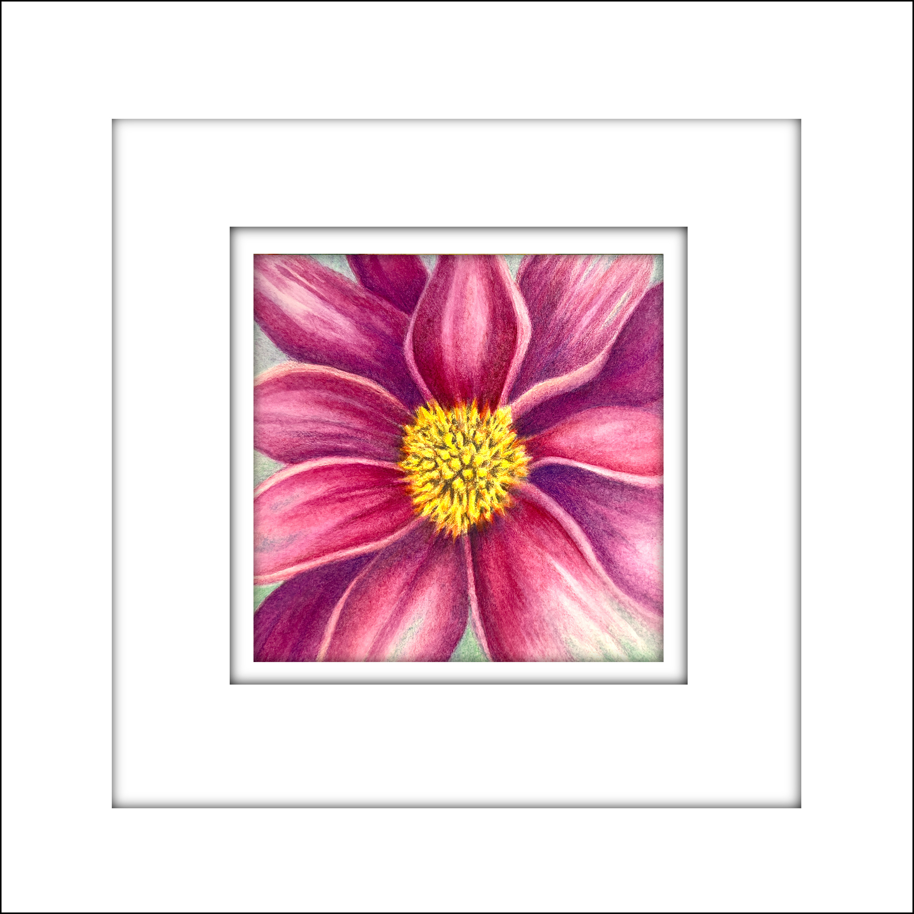 221211 magenta dahlia  centered framed teit53