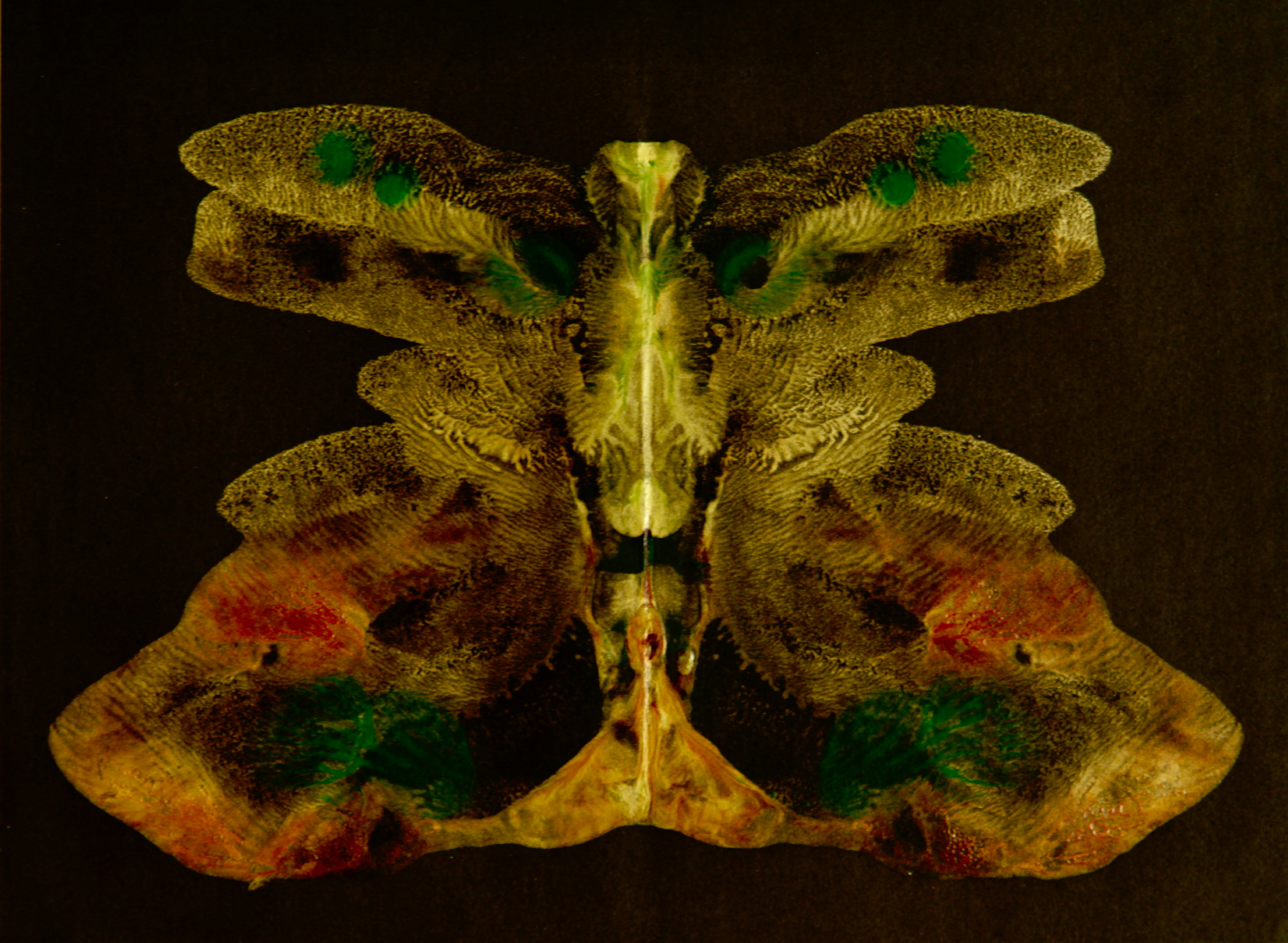 D77e17e5 101c 452e a4b2 96f8d0b1efdb 1 201 a sqkf4w