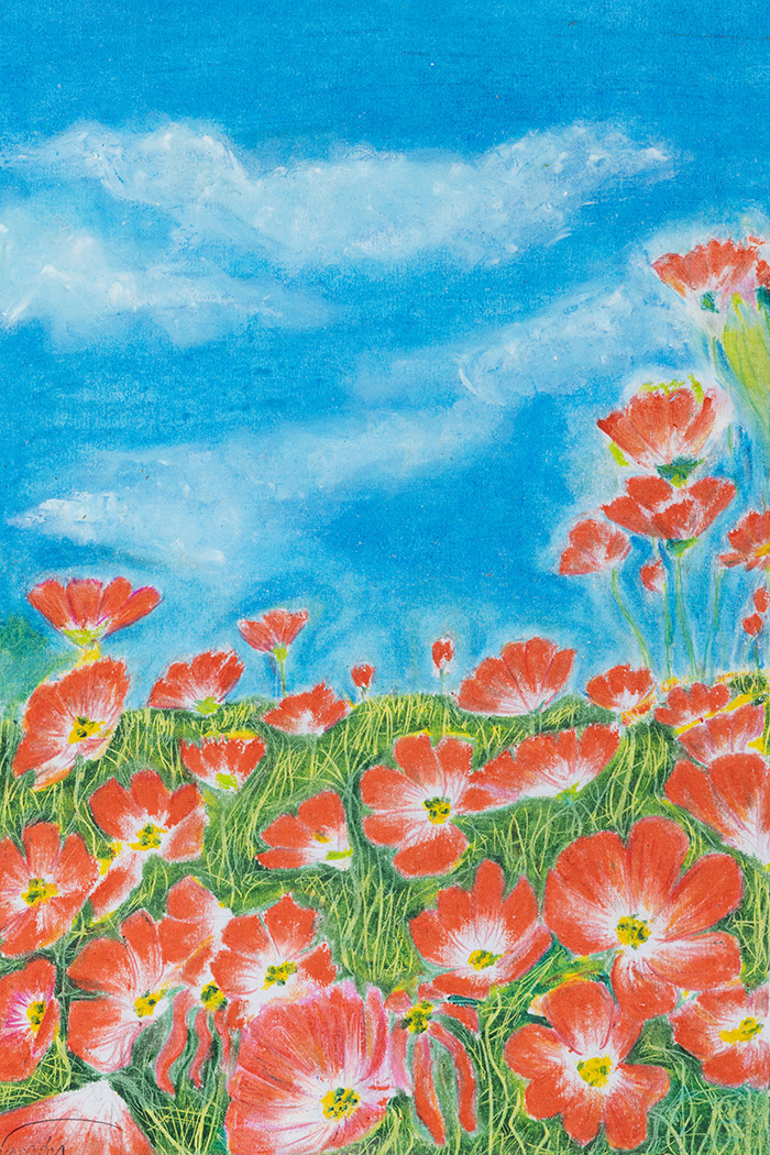Poppies 8x9.75a rasika  o  small ztvnty