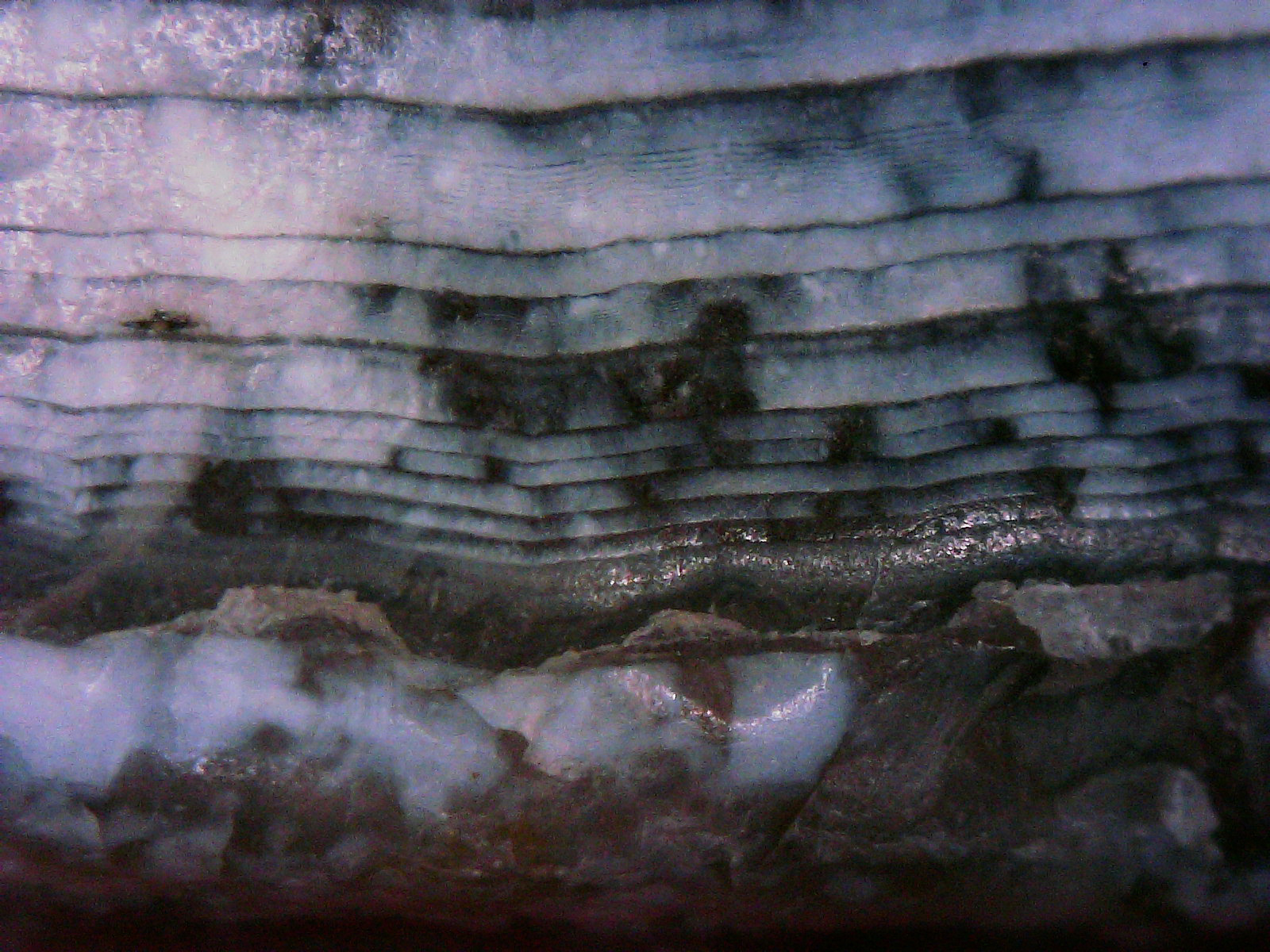 
        <div class='title'>
          Night in the Canyon
        </div>
       
        <div class='description'>
          
        </div>
      