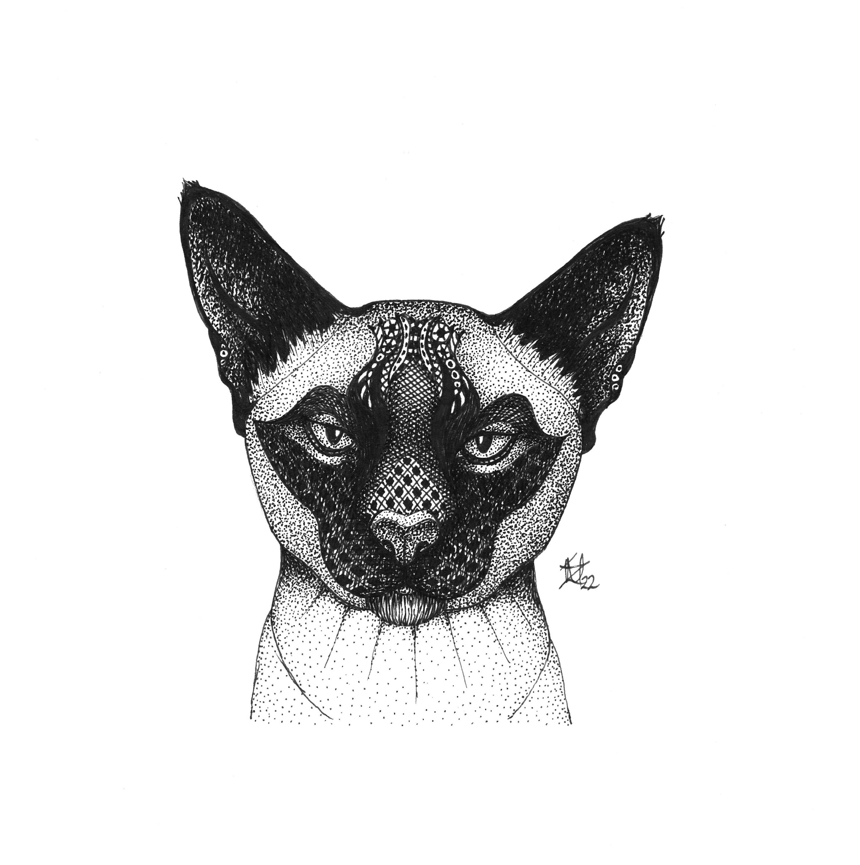 Wee siamese2 ryzlrm