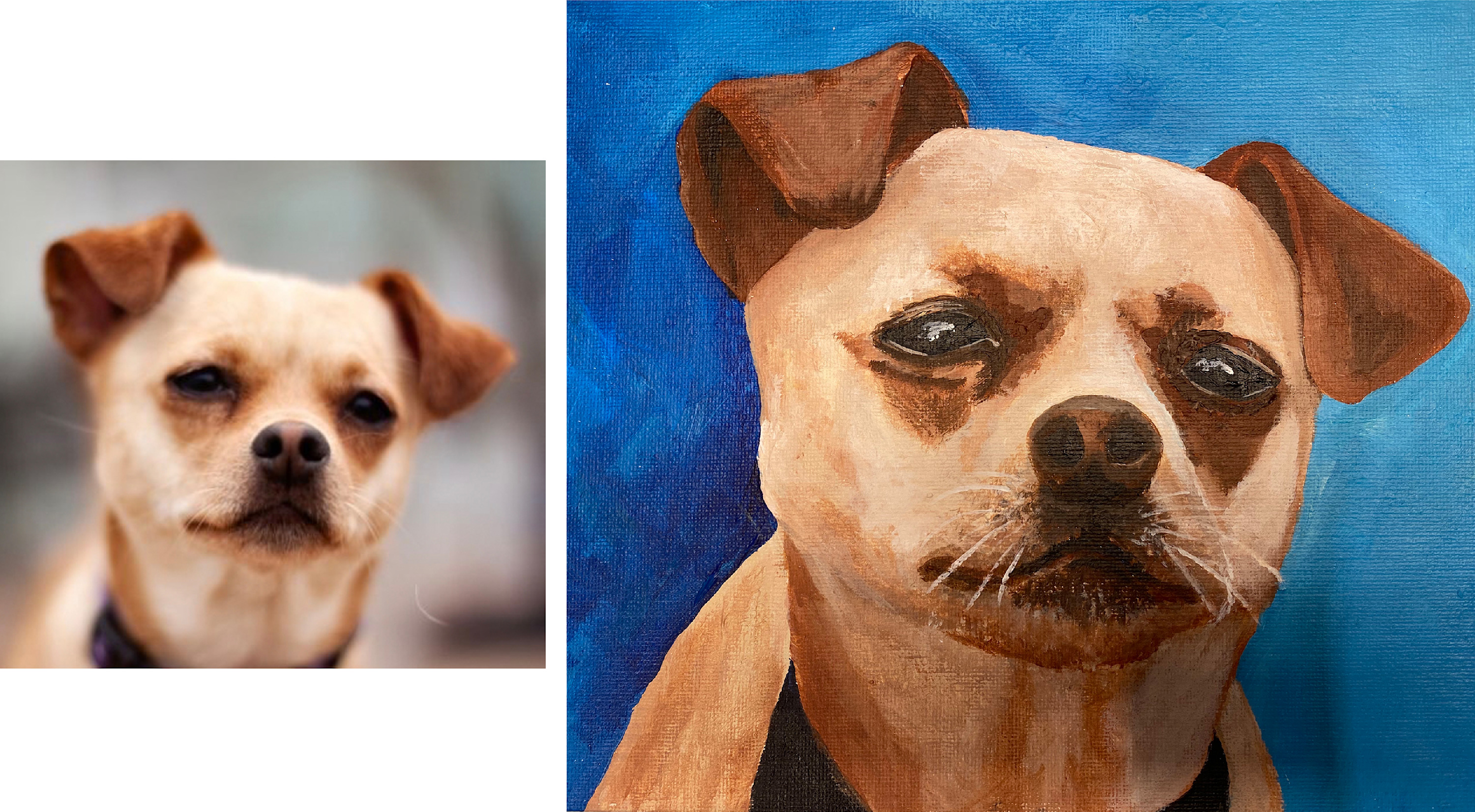 Gracie.portrait ts0vgl