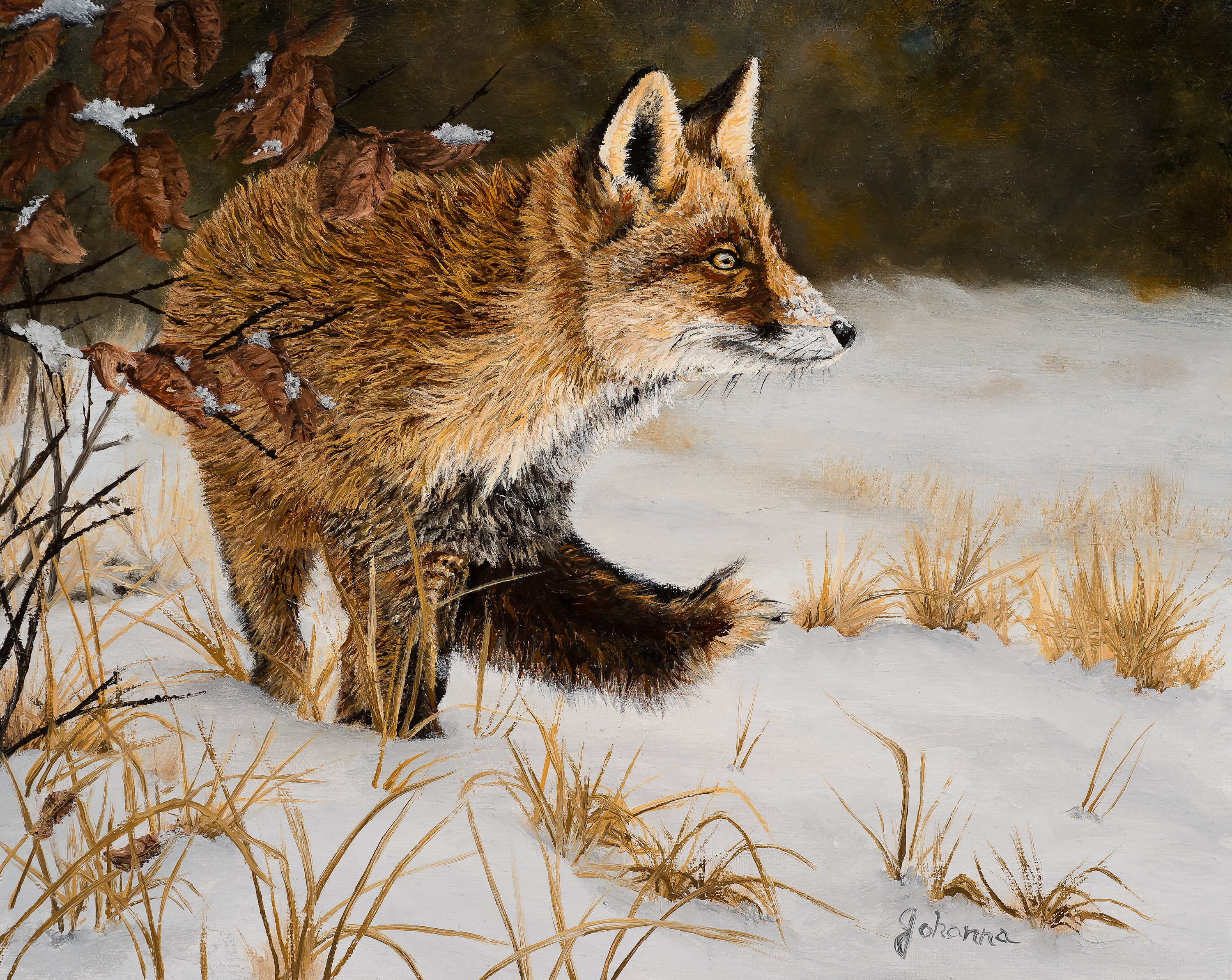 Johanna lerwick   a winter stroll   red fox 8x10 p84wog