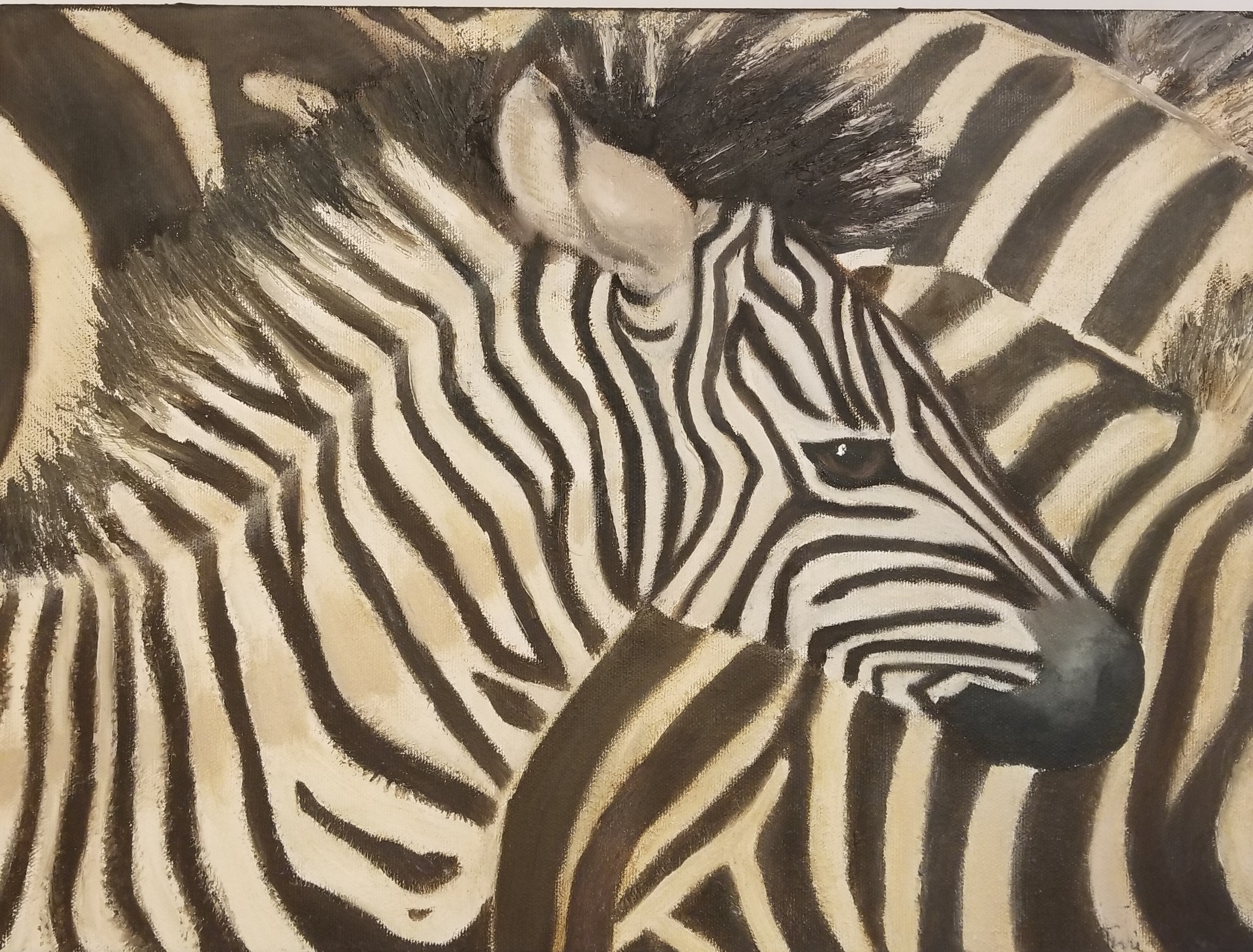 Zebras z4ncff