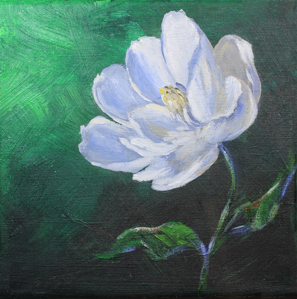 A flower in dark oi 0225  p small 7x7 mzw1a5