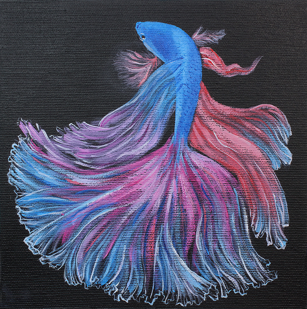 Betta fish op 1229 p ai print small 7x7 eok9kw