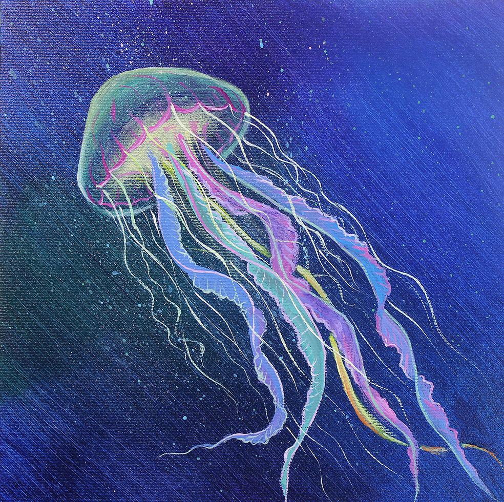 Jellyfish ai op 1237 p small 7x7 uup1ai