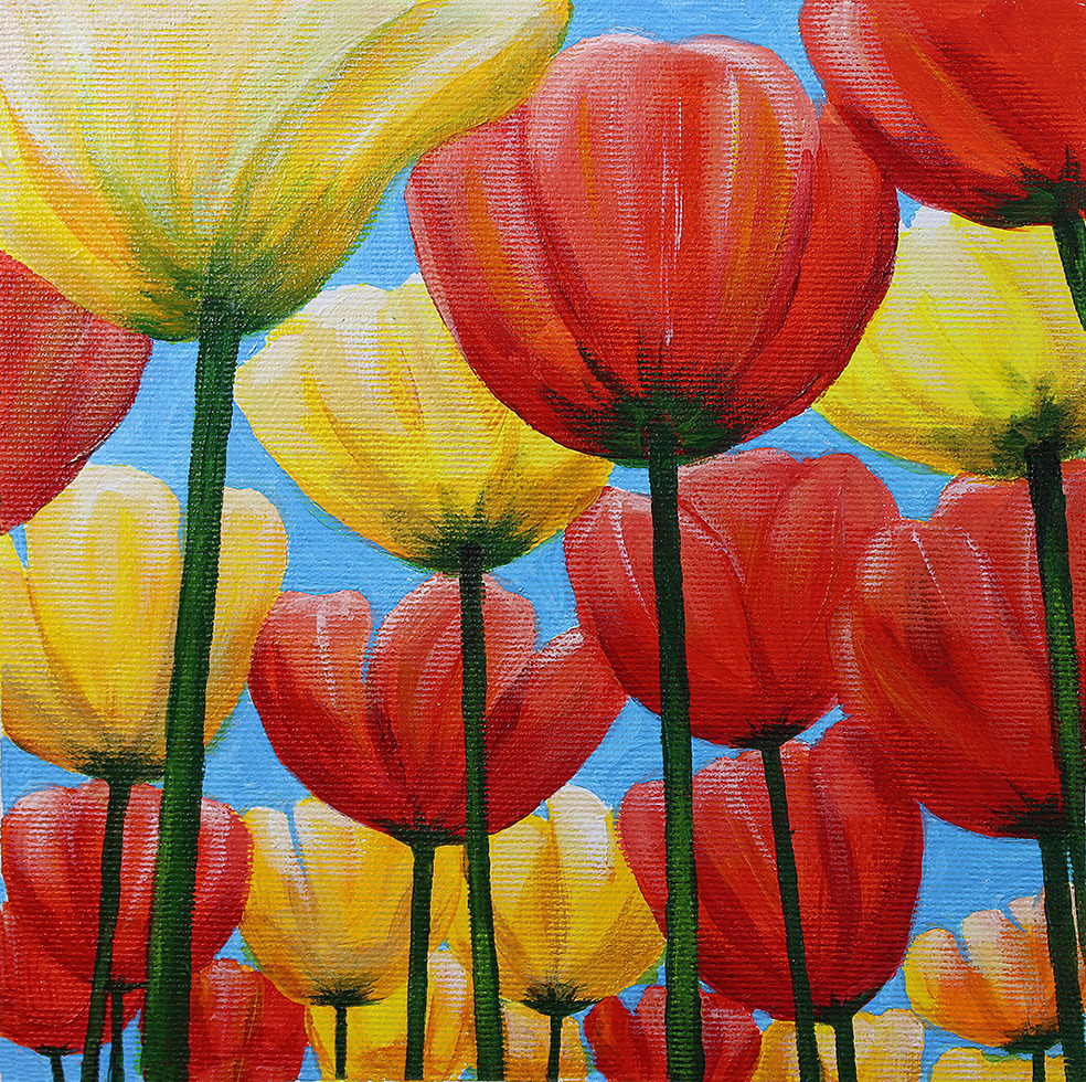 Tulips ai op  1244 p small 7x7 fokbec