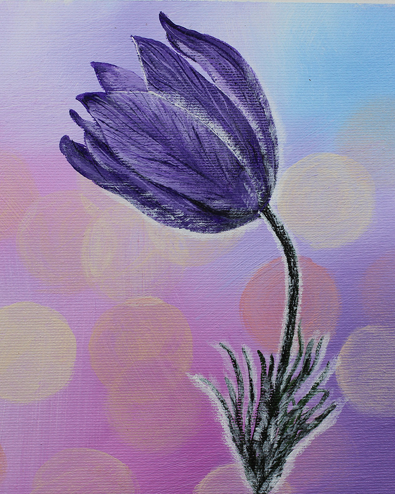 Pulsatilla op 1240 20x20 cmv crop no frame small 5.6x7 qbzwpf