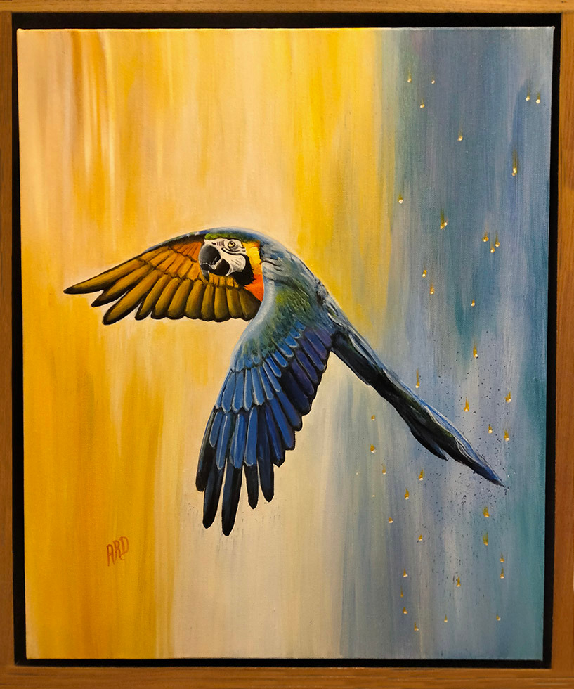 Flash dance ad 2844 sm 2 szis1w